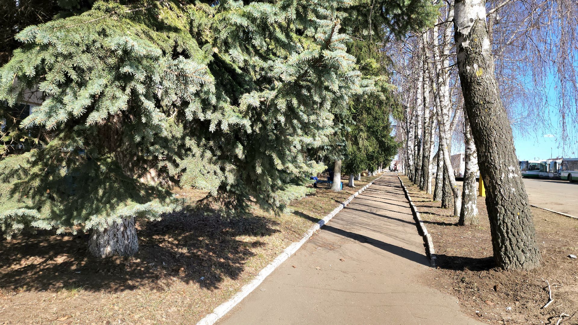 Подольск, МАП 5, столовая, обеды, водители,