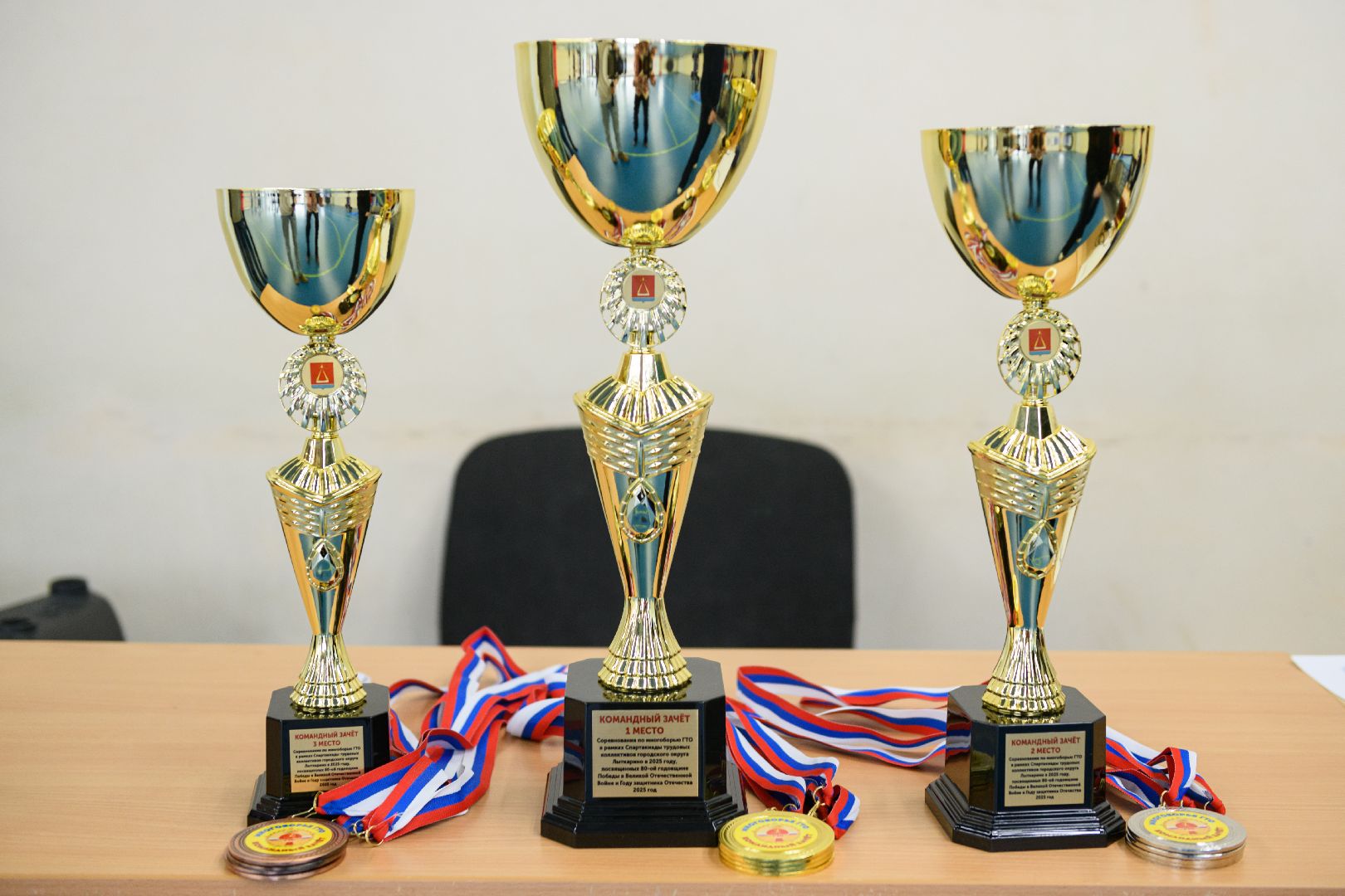 спартакиада трудовых коллективов, лыткарино спорт, дворец спорта арена лыткарино, многоборье гто, вертикалки,