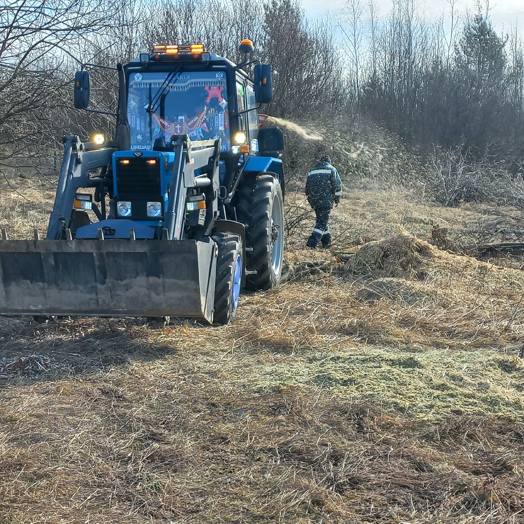 сергиев посад, Чарково, Дороги, вырубка деревьев,