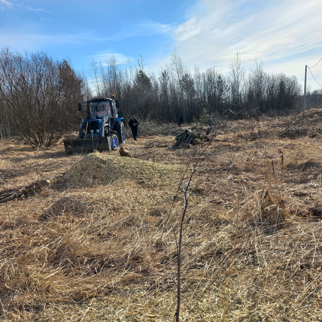 сергиев посад, Чарково, Дороги, вырубка деревьев,