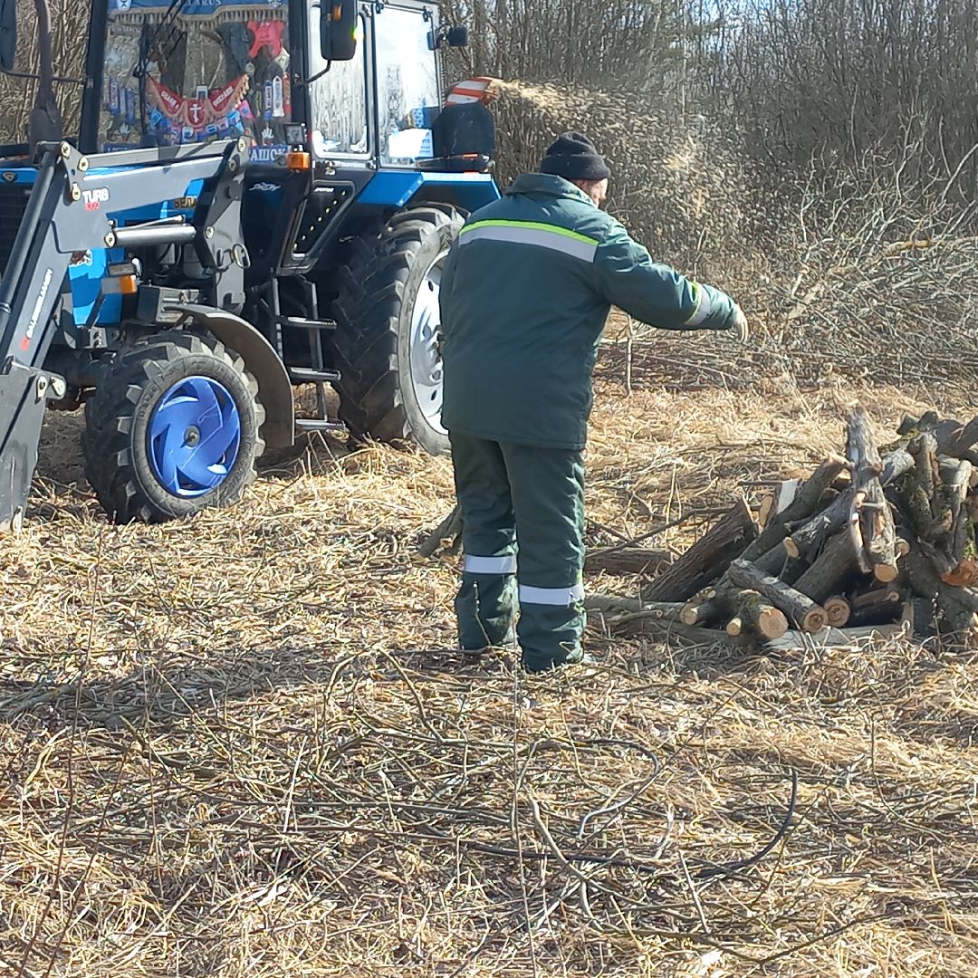 сергиев посад, Чарково, Дороги, вырубка деревьев,
