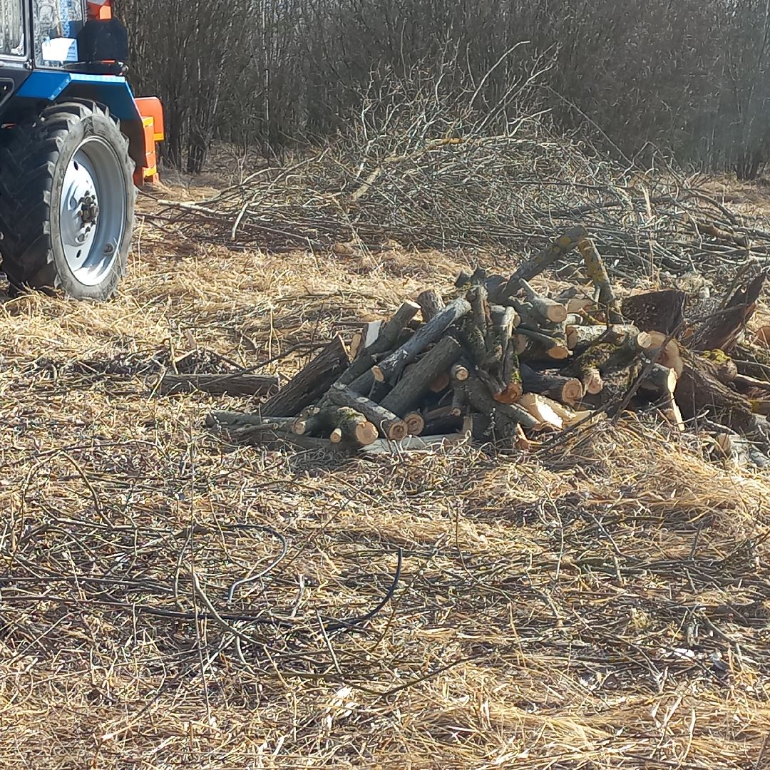 сергиев посад, Чарково, Дороги, вырубка деревьев,