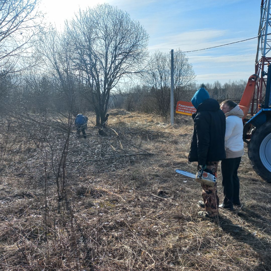 сергиев посад, Чарково, Дороги, вырубка деревьев,
