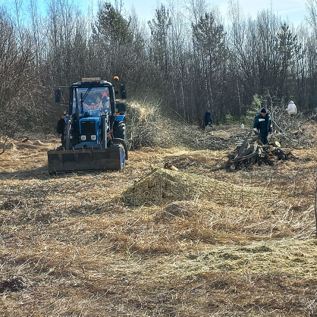 сергиев посад, Чарково, Дороги, вырубка деревьев,