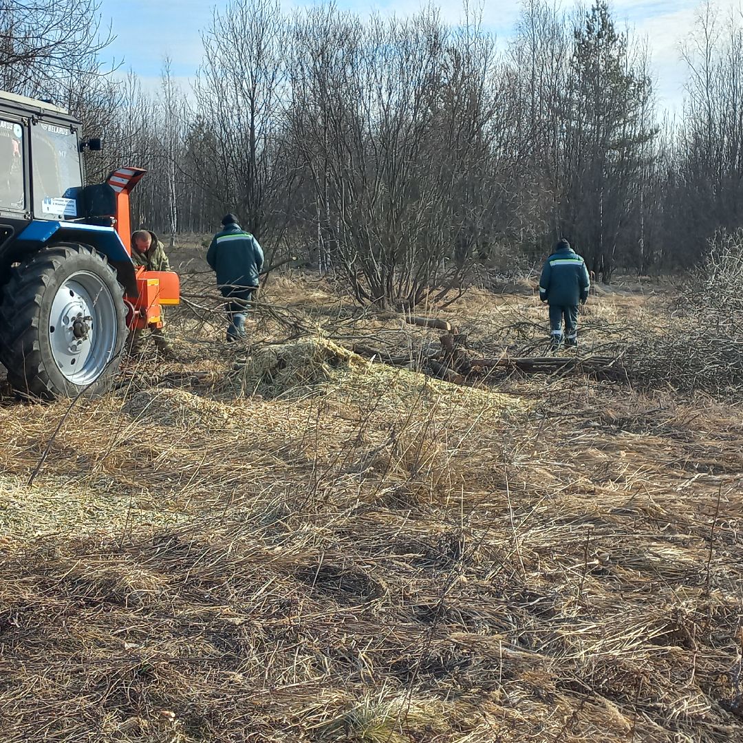 сергиев посад, Чарково, Дороги, вырубка деревьев,