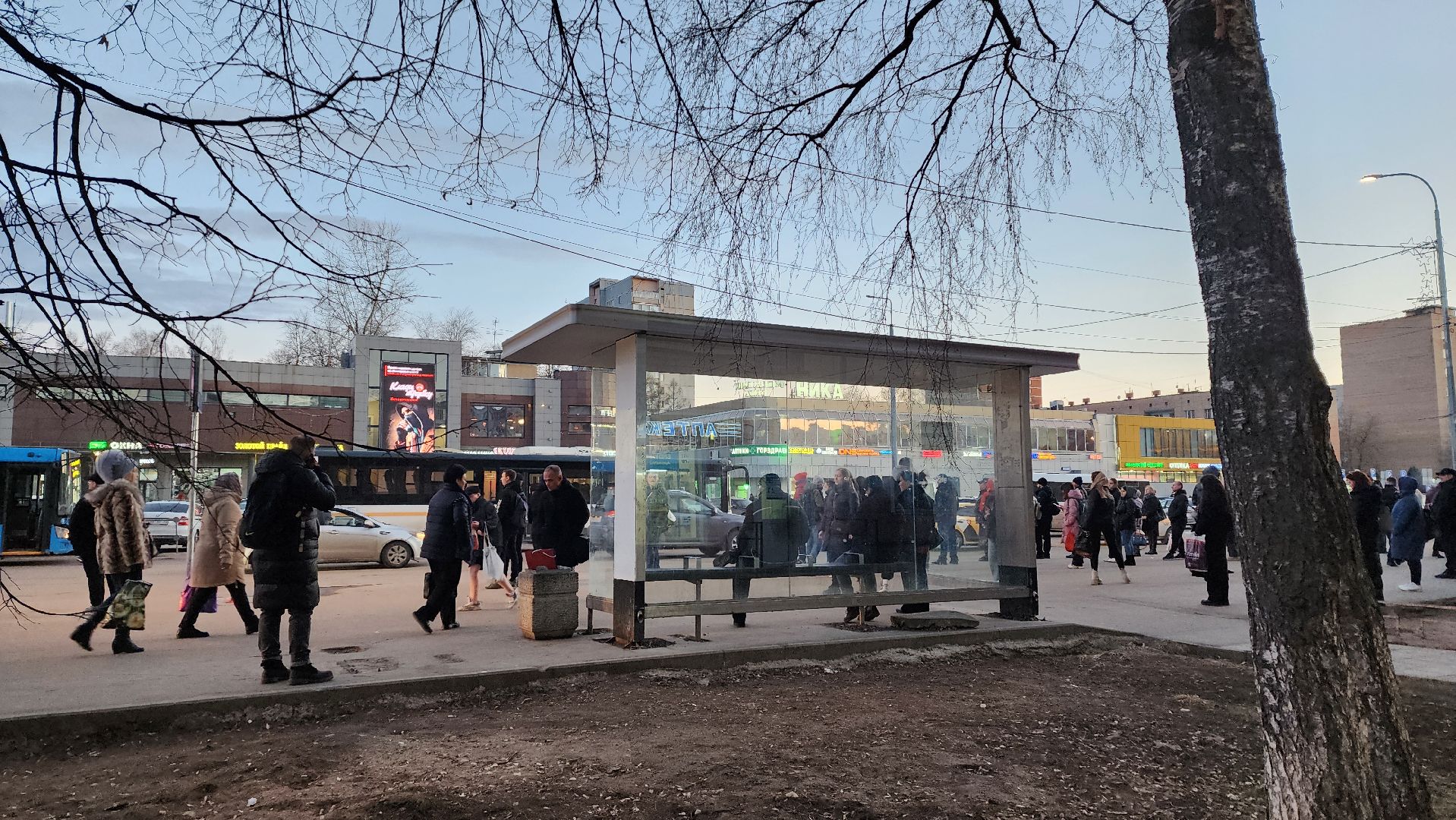 Автобусы, Лобня, пассажирский автобус, Пассажир,