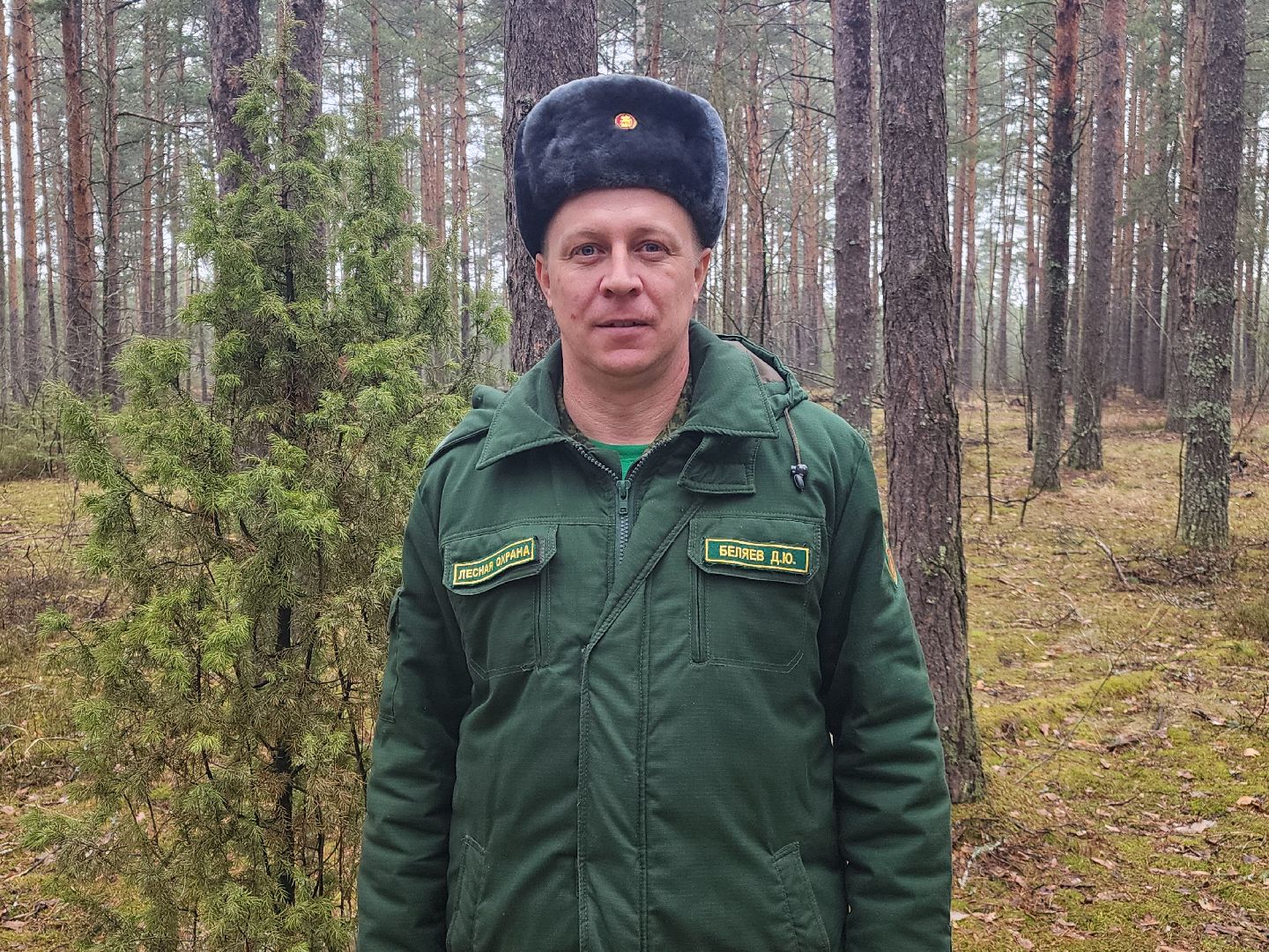 лес, лесники, комитет лесного хозяйства,