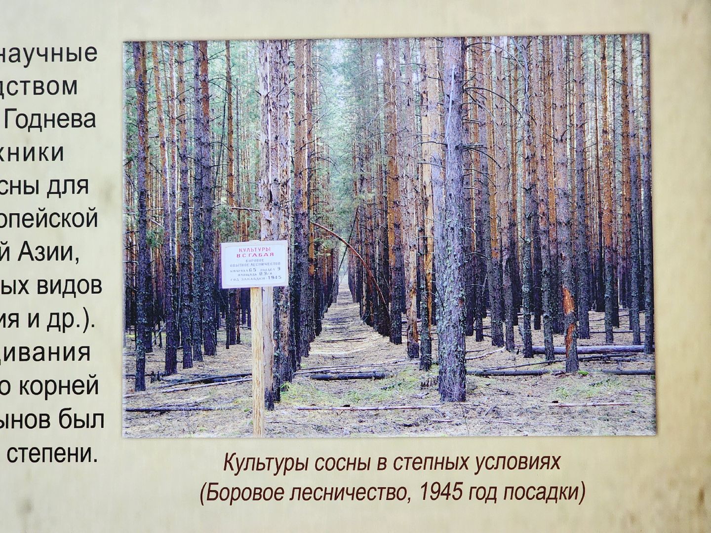 пушкино, дендропарк, школьники,