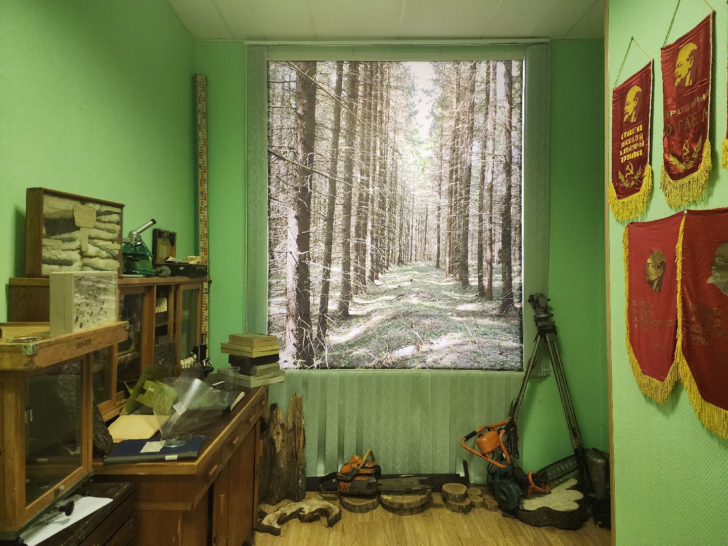 пушкино, дендропарк, школьники,