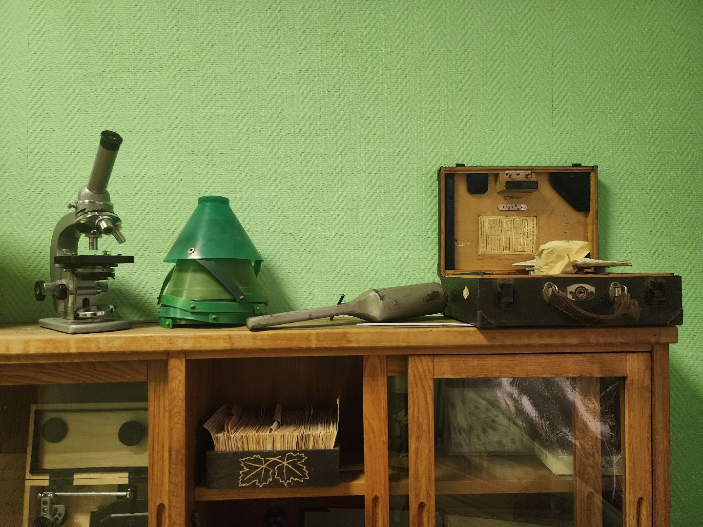 пушкино, дендропарк, школьники,