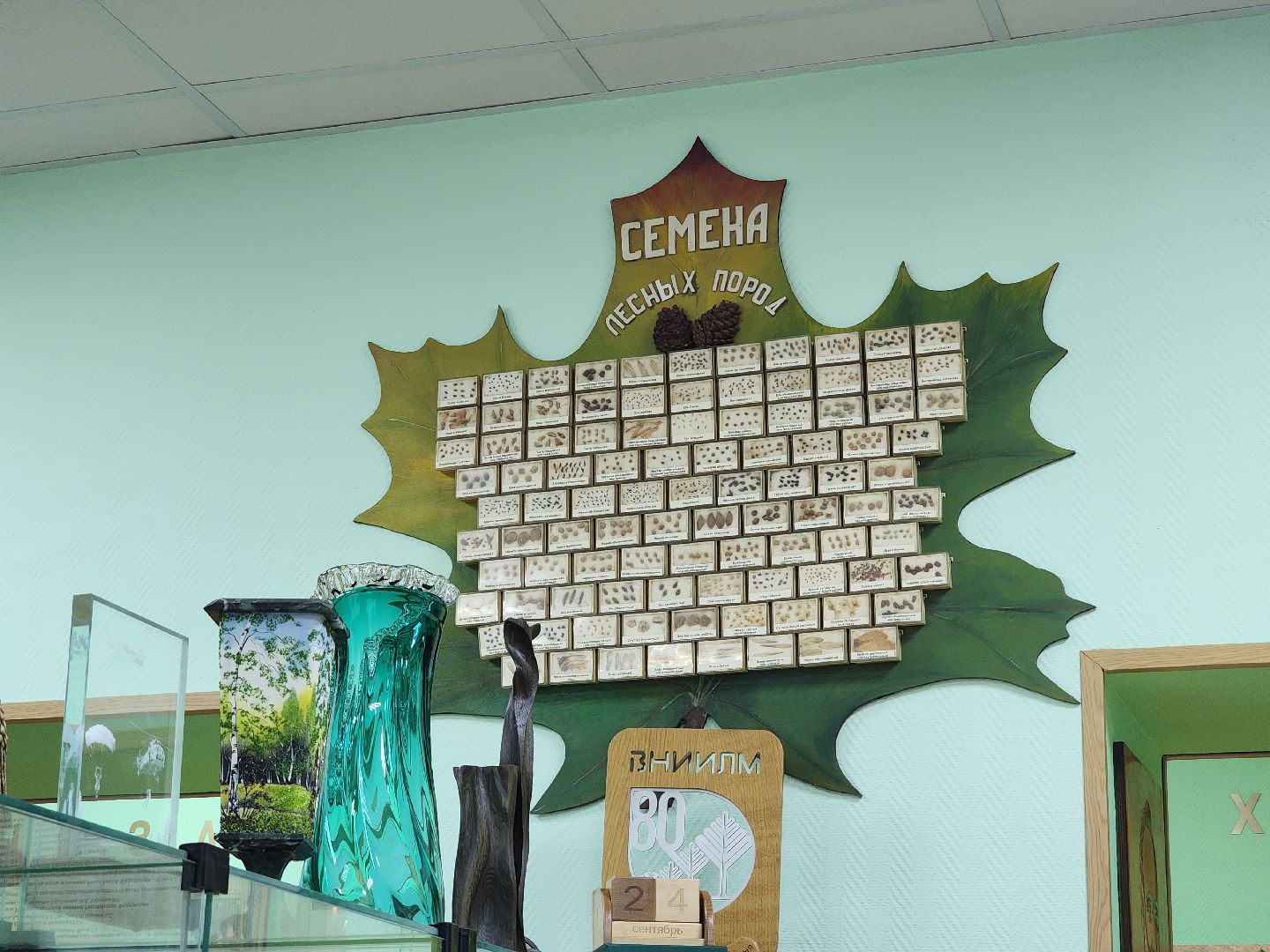 пушкино, дендропарк, школьники,