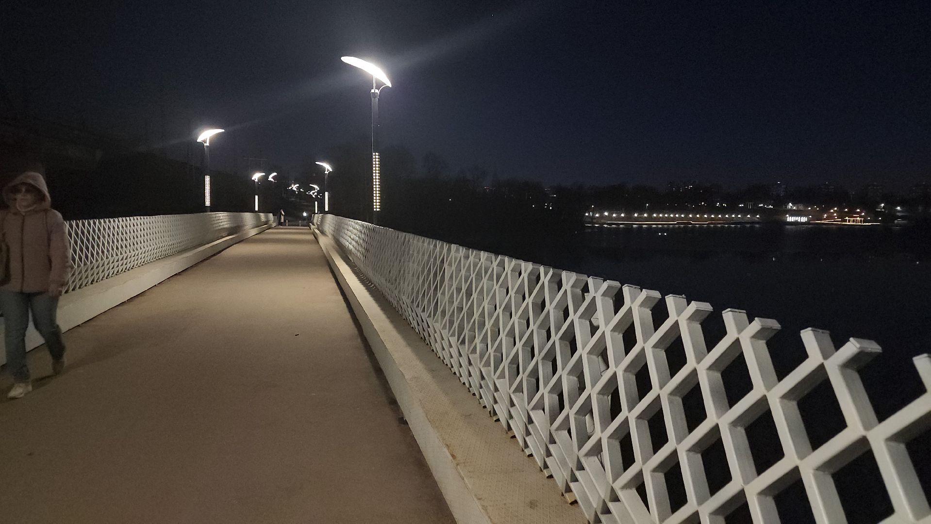 долгопрудный, выездная администрация, островок, Речная улица, школа 9, безопасный регион, камеры наблюдения,