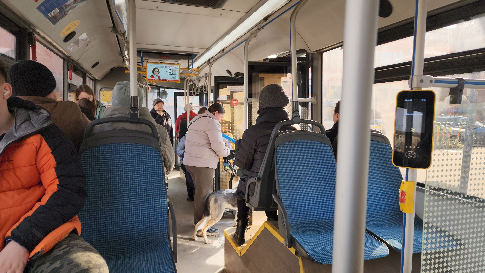 Автобусы, общественный транспорт, Лобня,