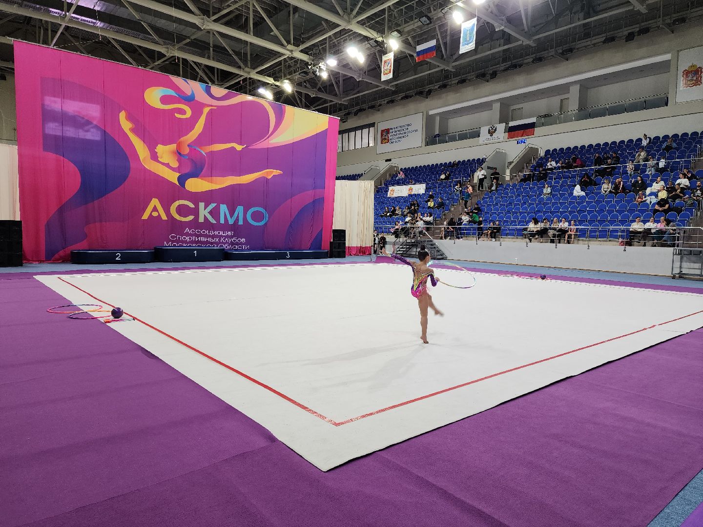 раменское, спорт, соревнования по художественной гимнастике, спорткомплекс борисоглебский,