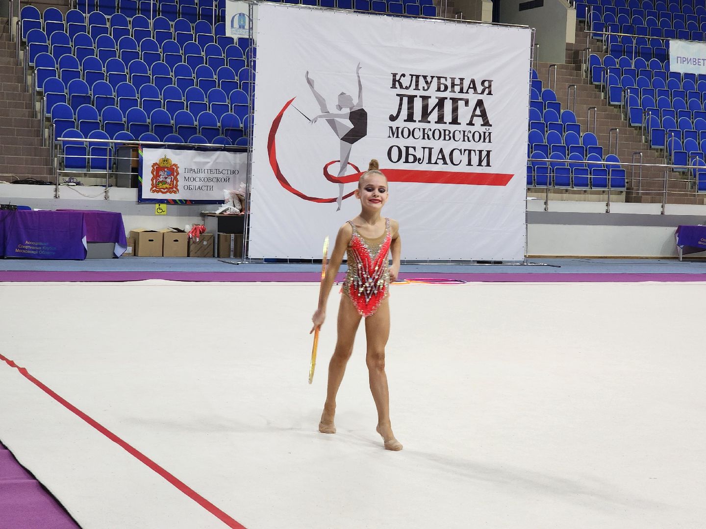 раменское, спорт, соревнования по художественной гимнастике, спорткомплекс борисоглебский,