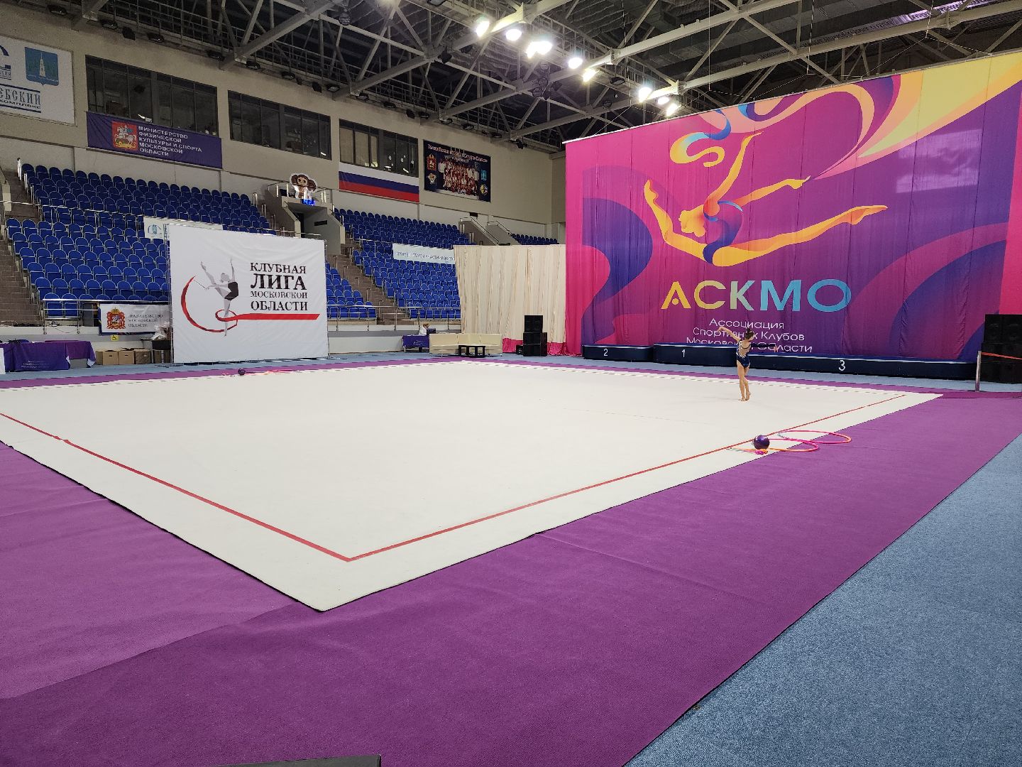 раменское, спорт, соревнования по художественной гимнастике, спорткомплекс борисоглебский,