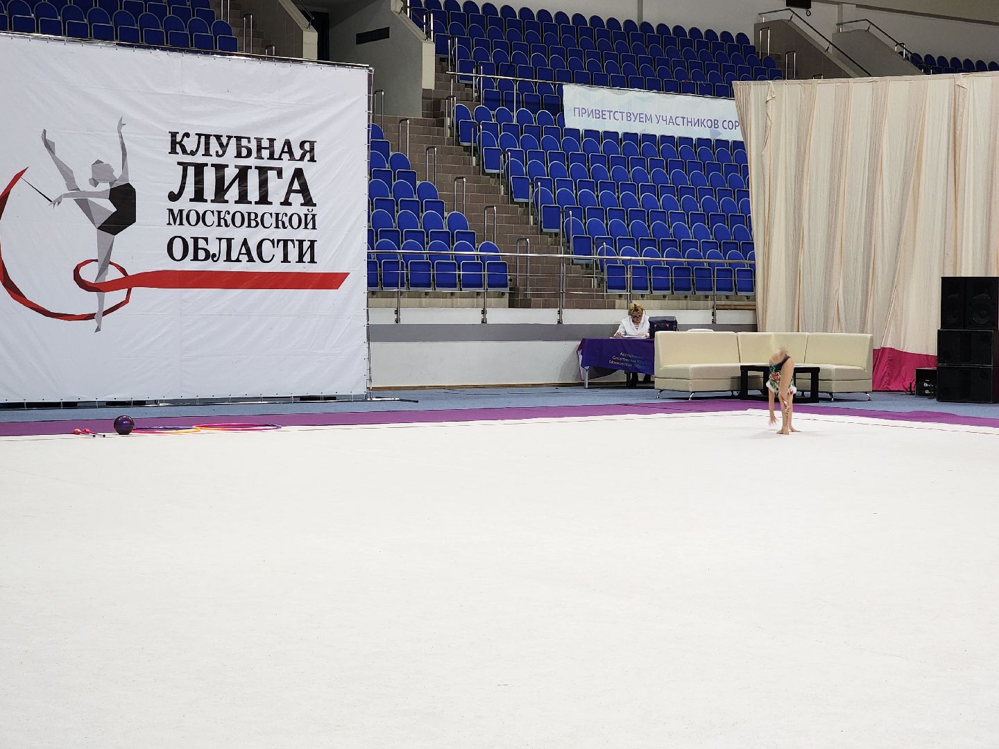 раменское, спорт, соревнования по художественной гимнастике, спорткомплекс борисоглебский,