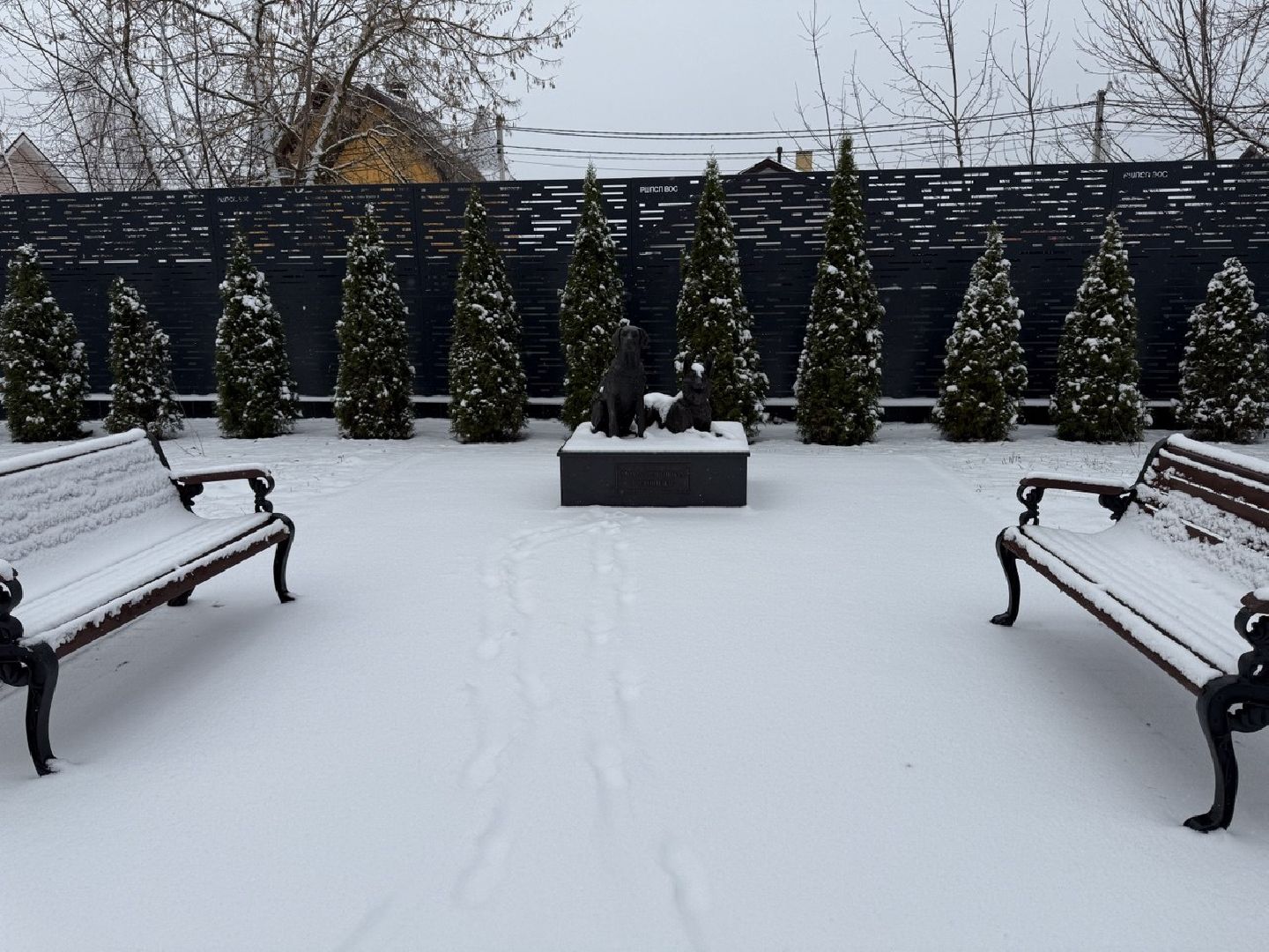 сво, собака повадырь, собака друг,