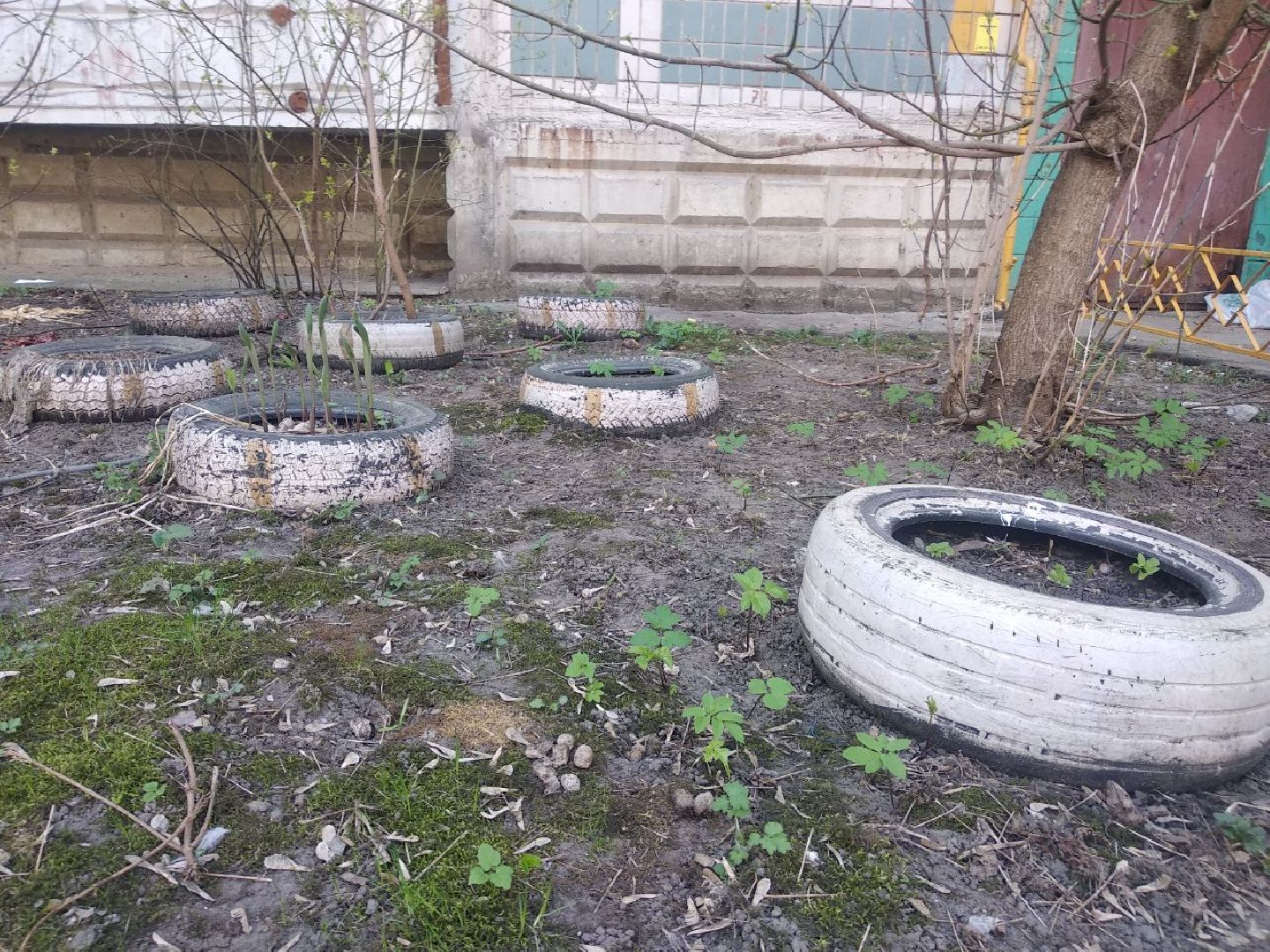 Дмитров, ГУСТ МО, СКПДИ