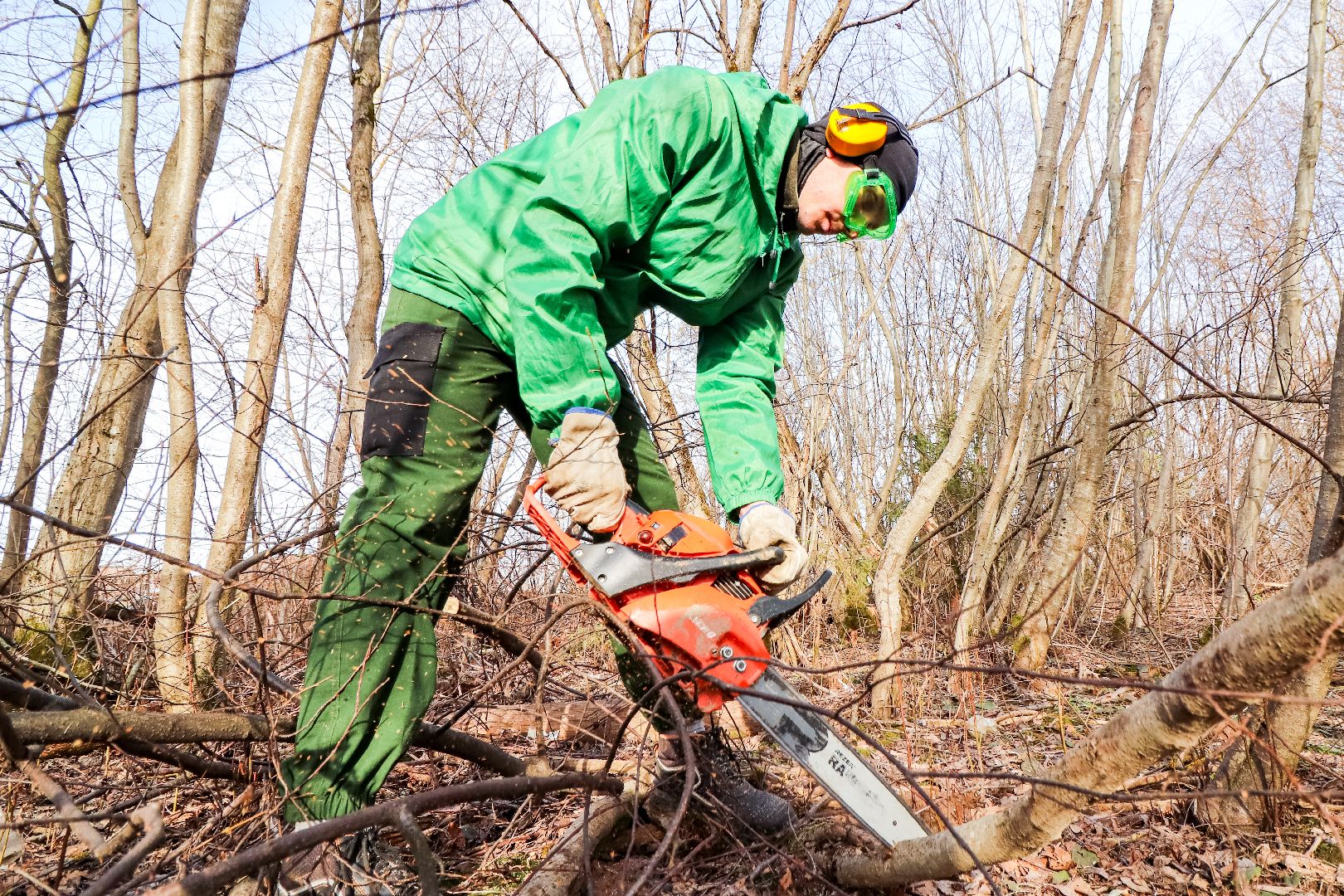 Клин, общество, субботники, благоустройство, опиловка деревьев,