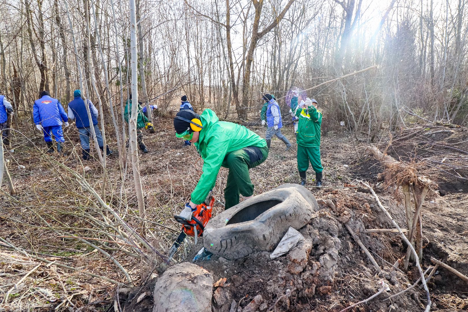 Клин, общество, субботники, благоустройство, опиловка деревьев,