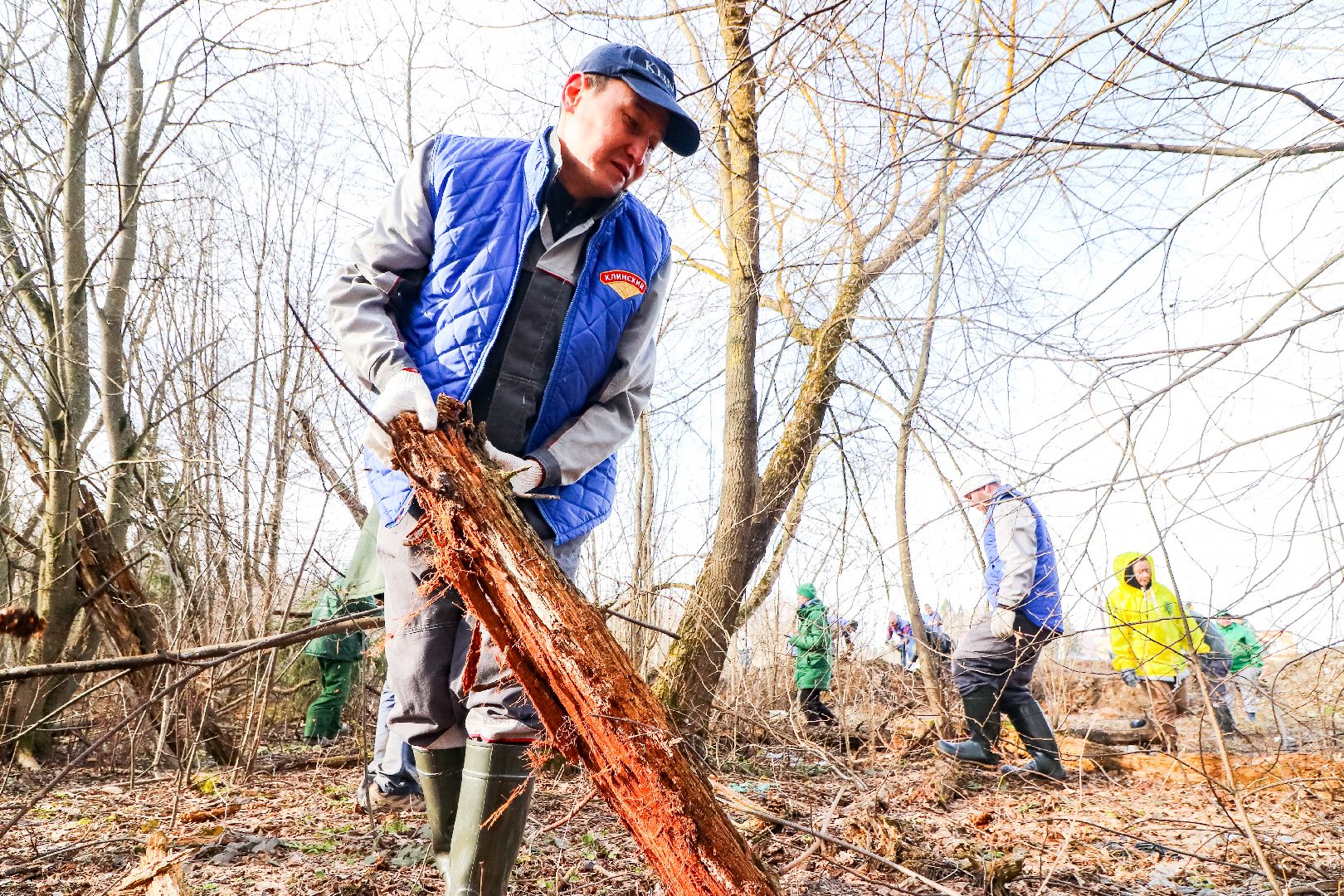 Клин, общество, субботники, благоустройство, опиловка деревьев,