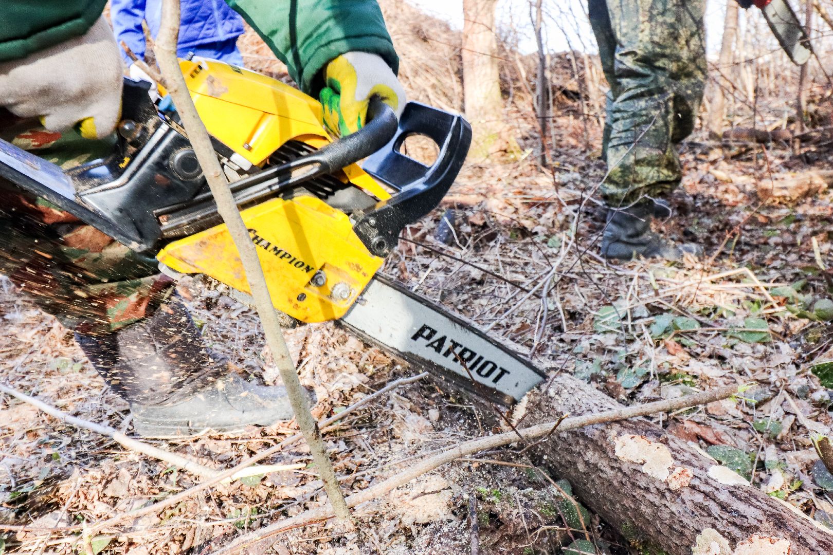 Клин, общество, субботники, благоустройство, опиловка деревьев,