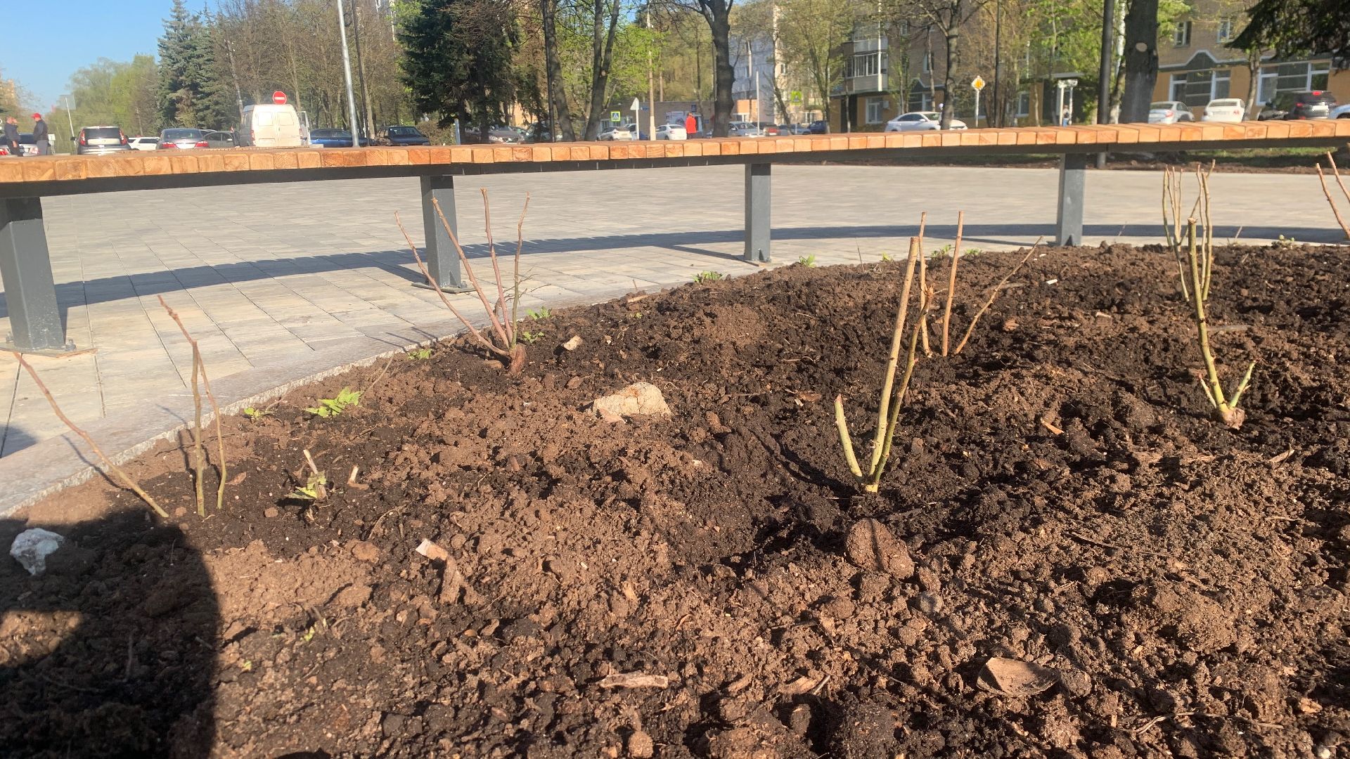 Ступино, цветы, площадь металлургов, благоустройство