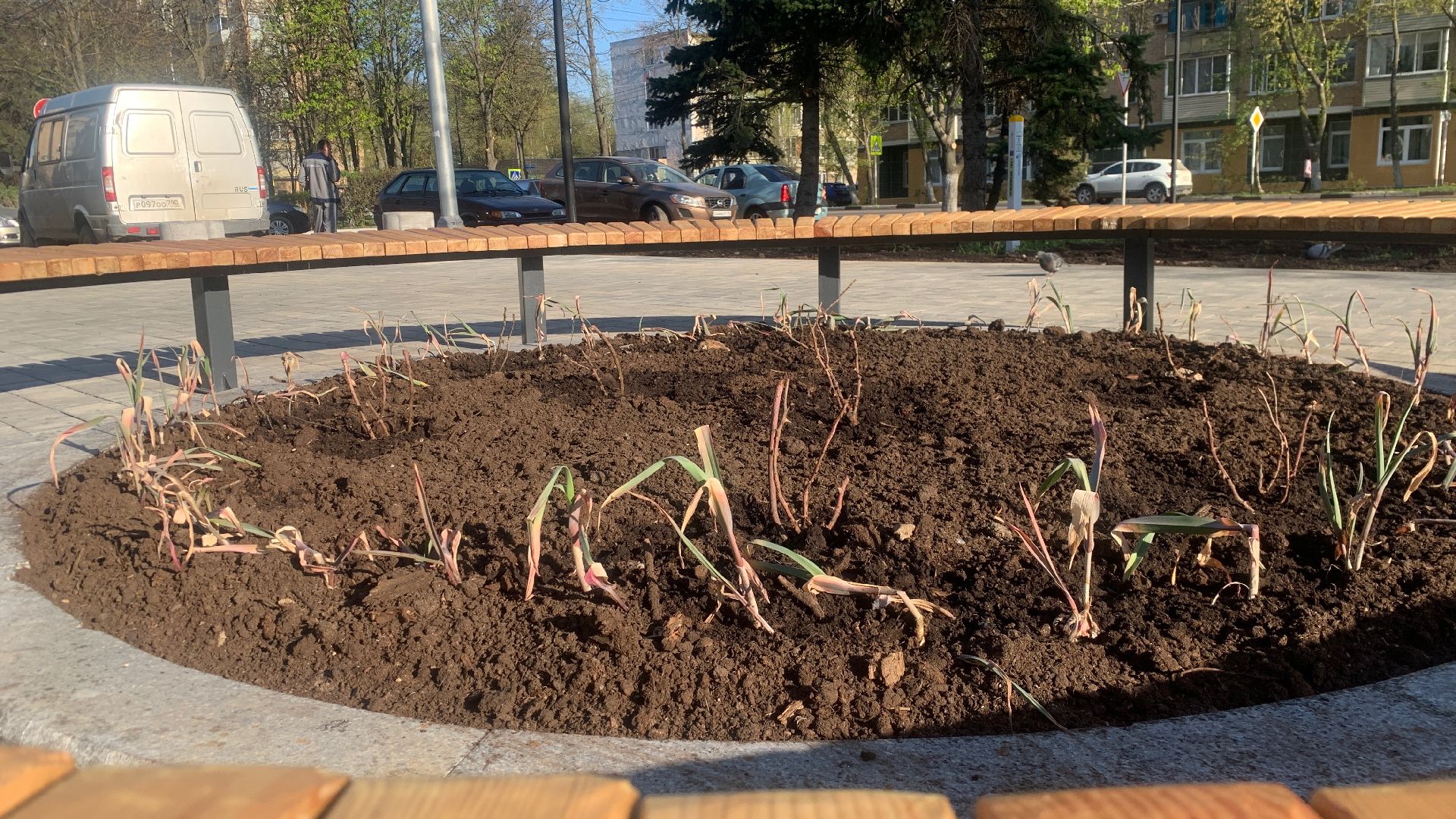 Ступино, цветы, площадь металлургов, благоустройство