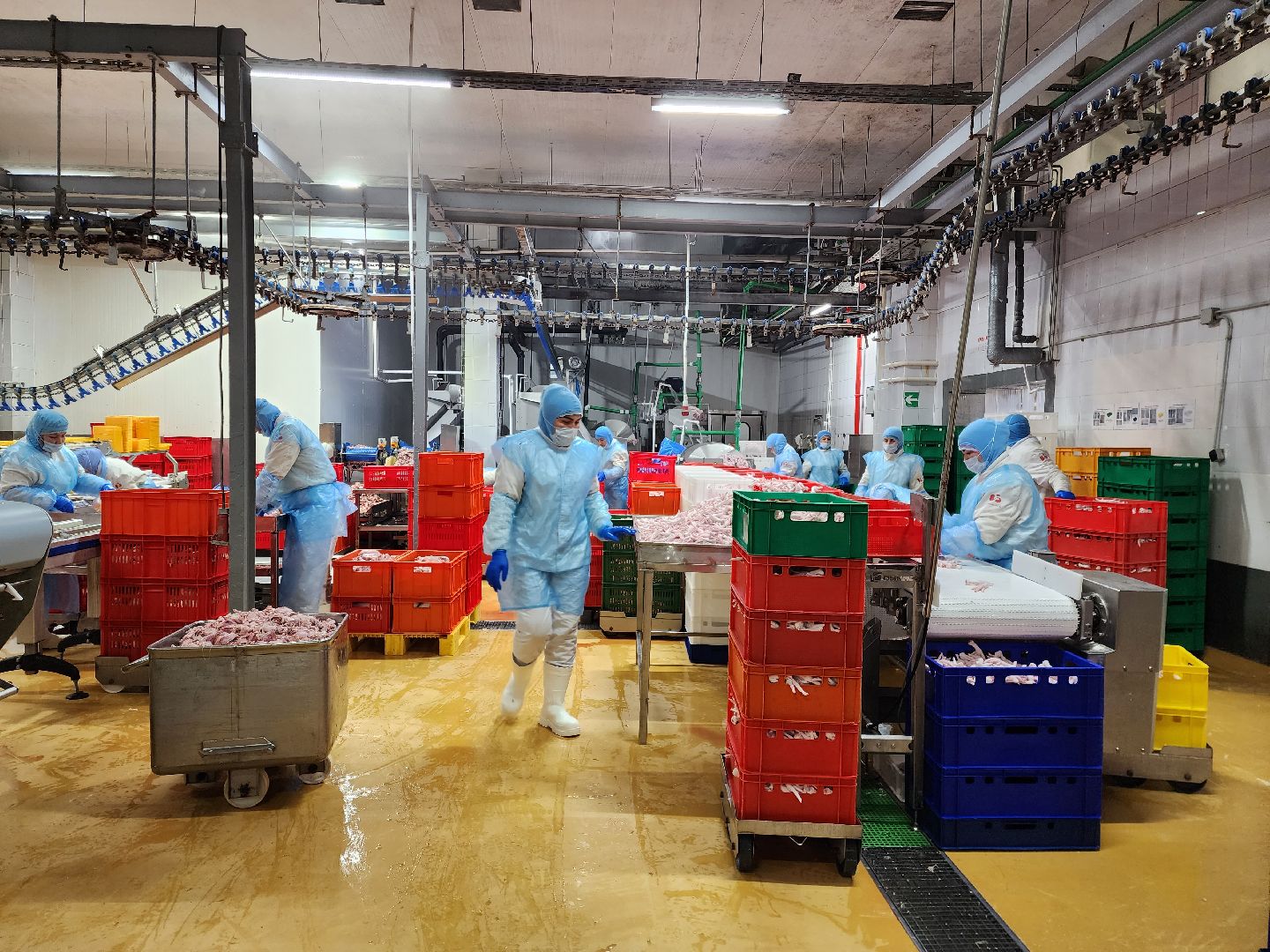 раменское, экономика, предприятие по производству куриной продукции в константиново,