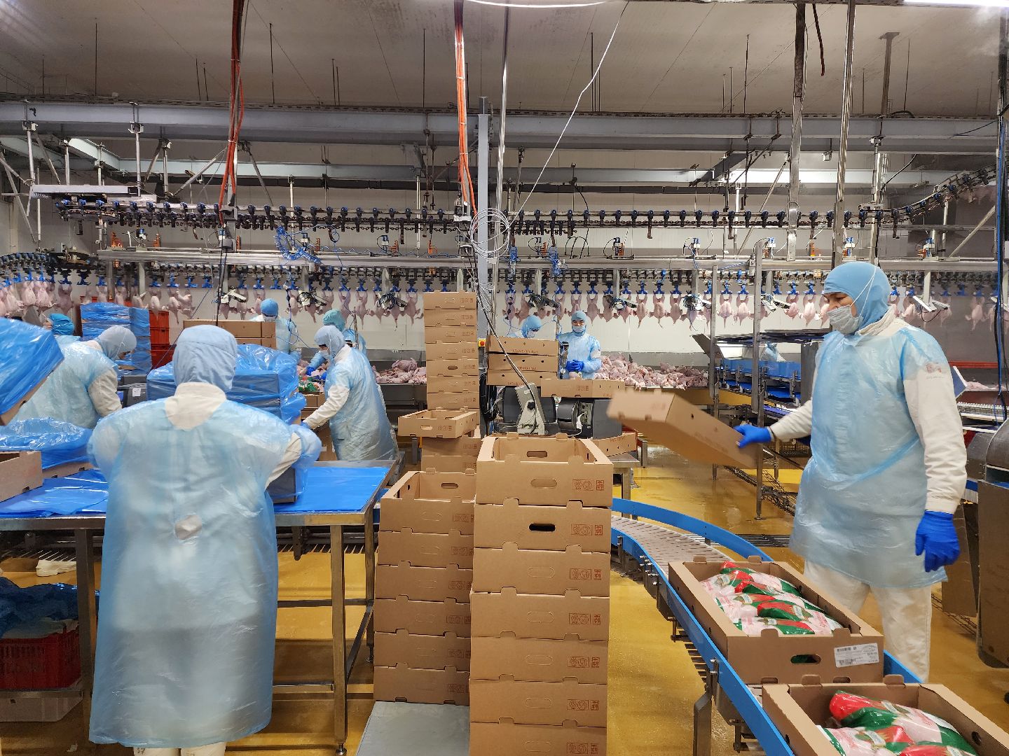 раменское, экономика, предприятие по производству куриной продукции в константиново,