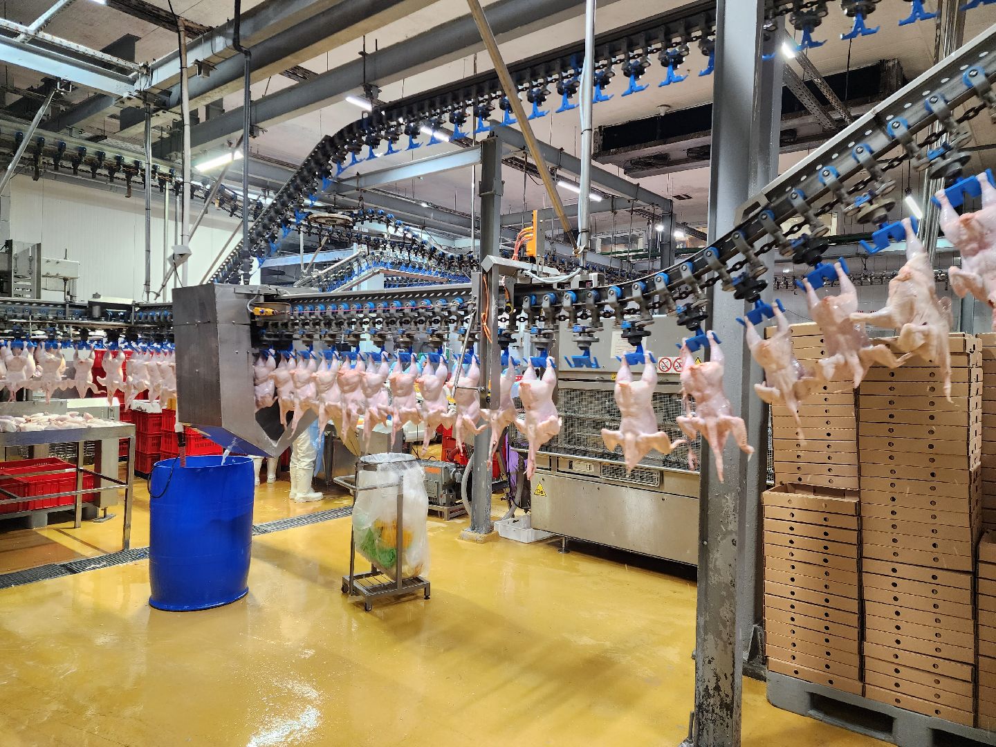 раменское, экономика, предприятие по производству куриной продукции в константиново,