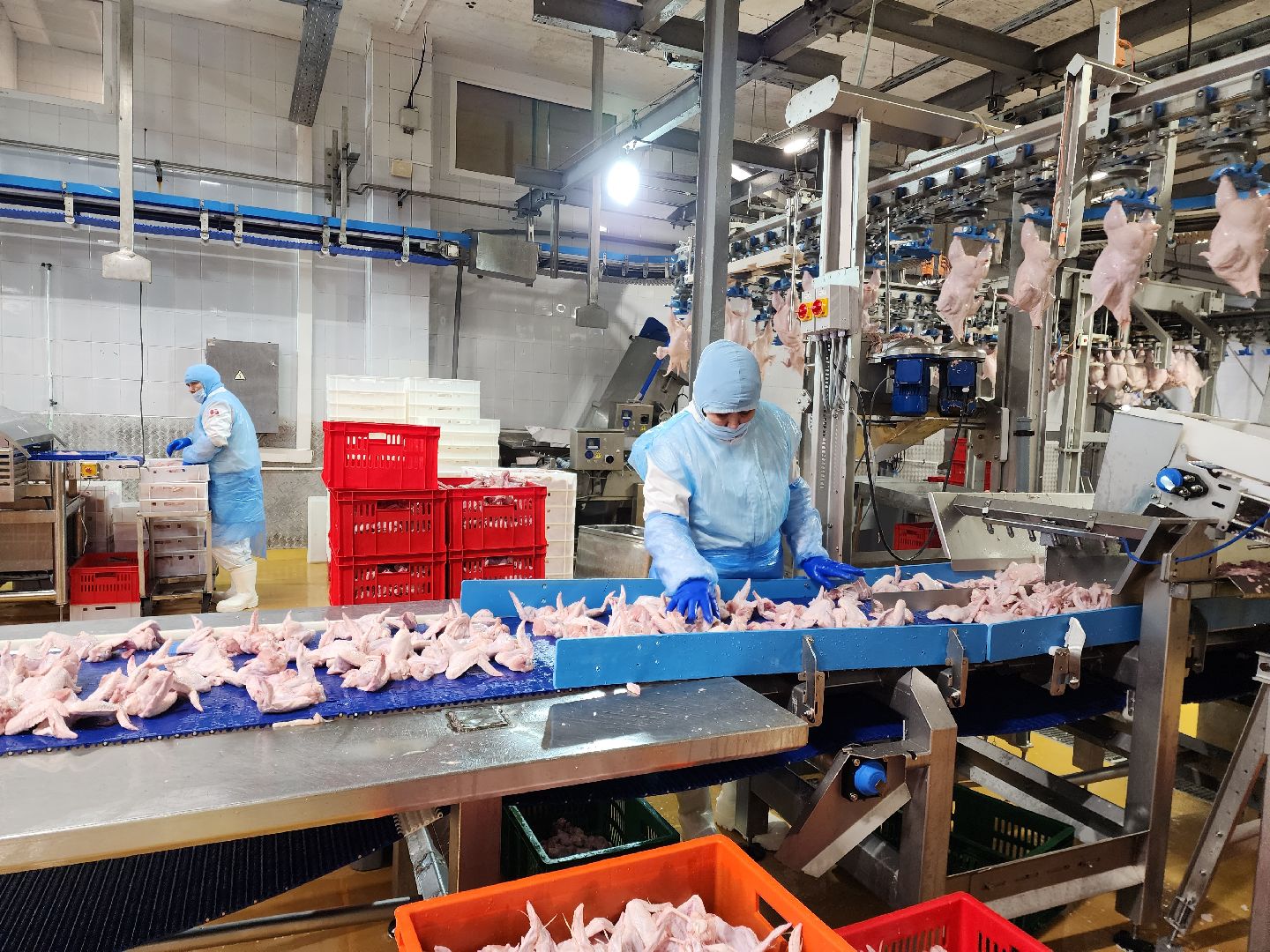 раменское, экономика, предприятие по производству куриной продукции в константиново,