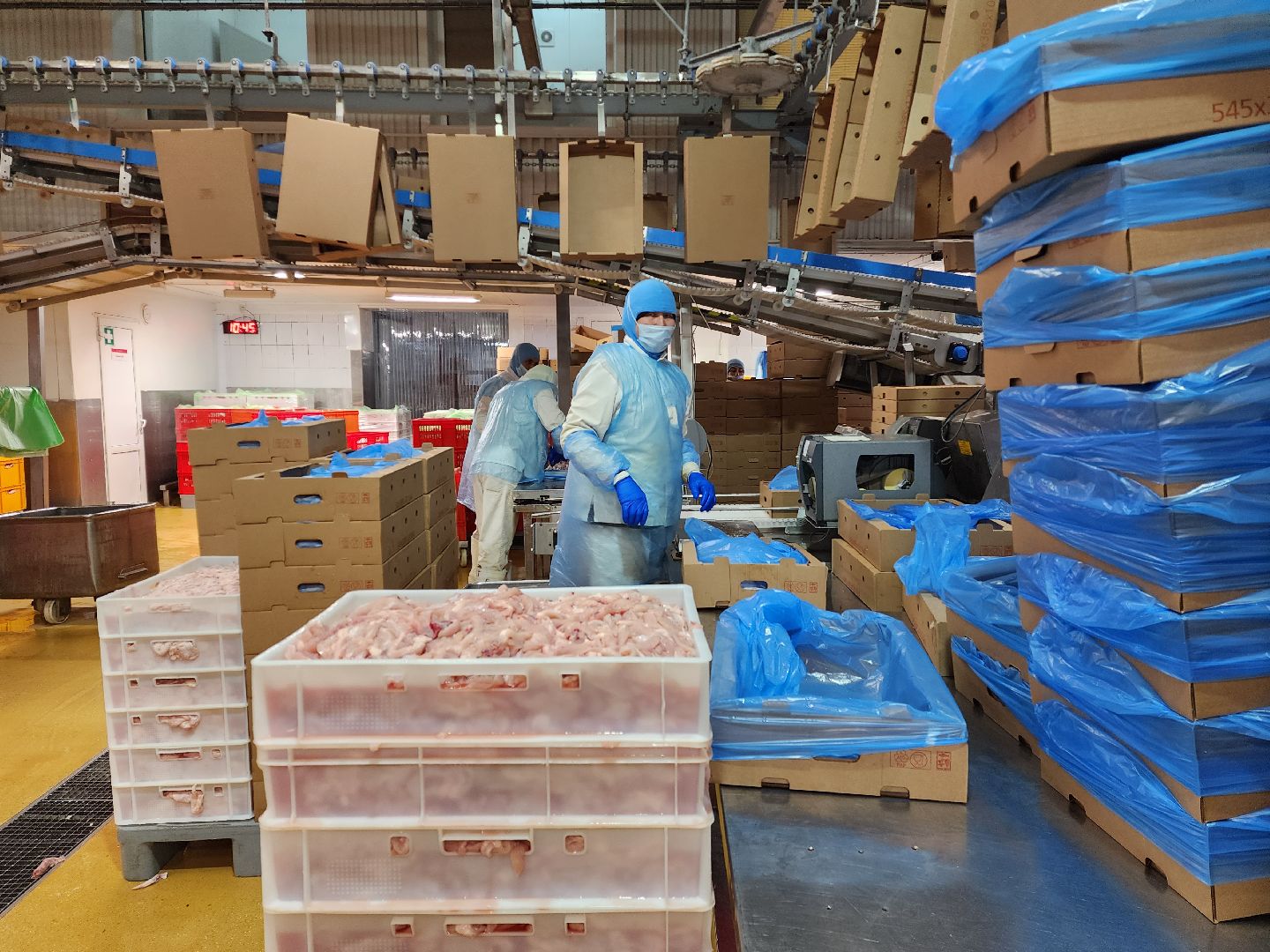 раменское, экономика, предприятие по производству куриной продукции в константиново,