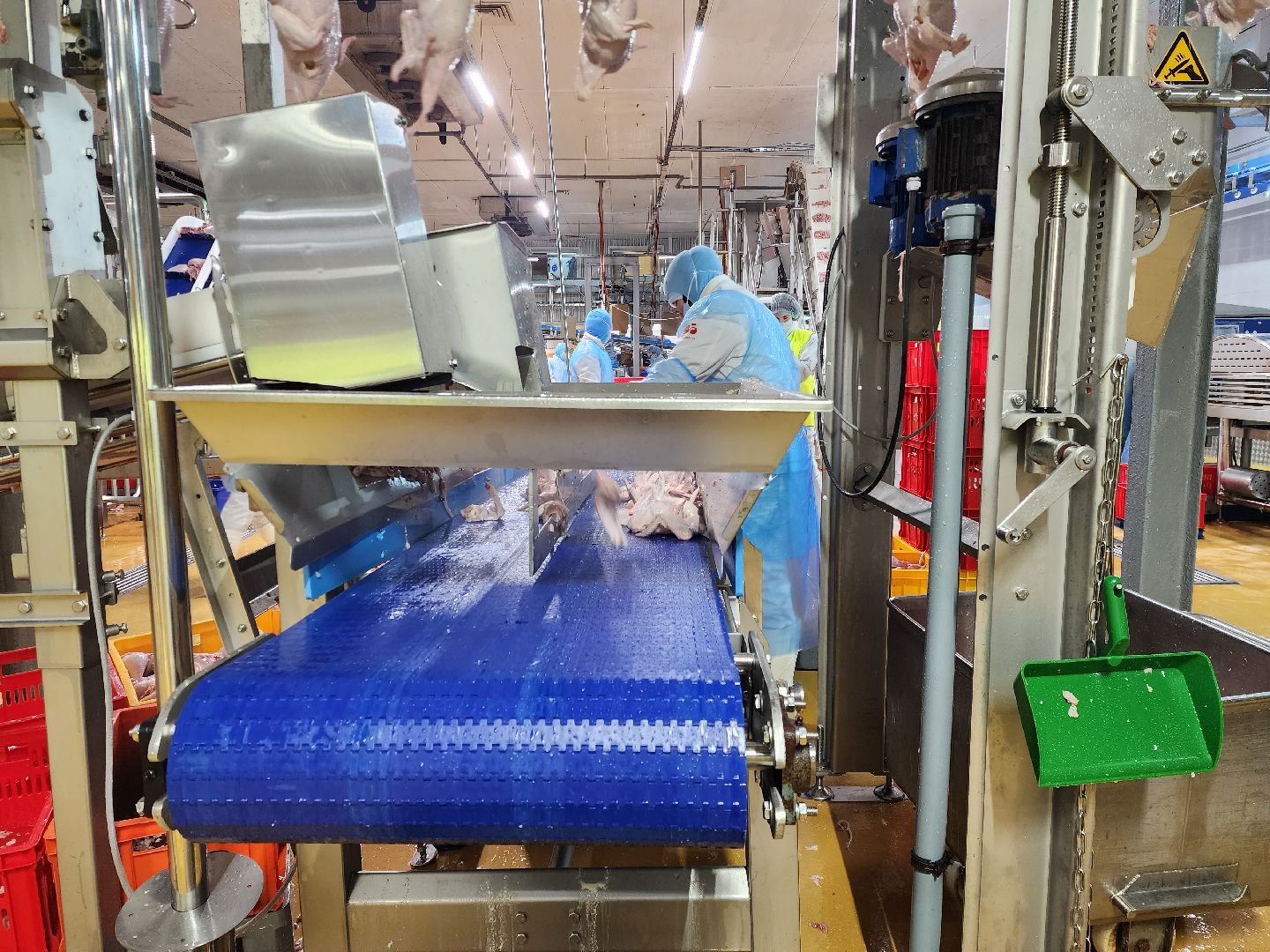 раменское, экономика, предприятие по производству куриной продукции в константиново,