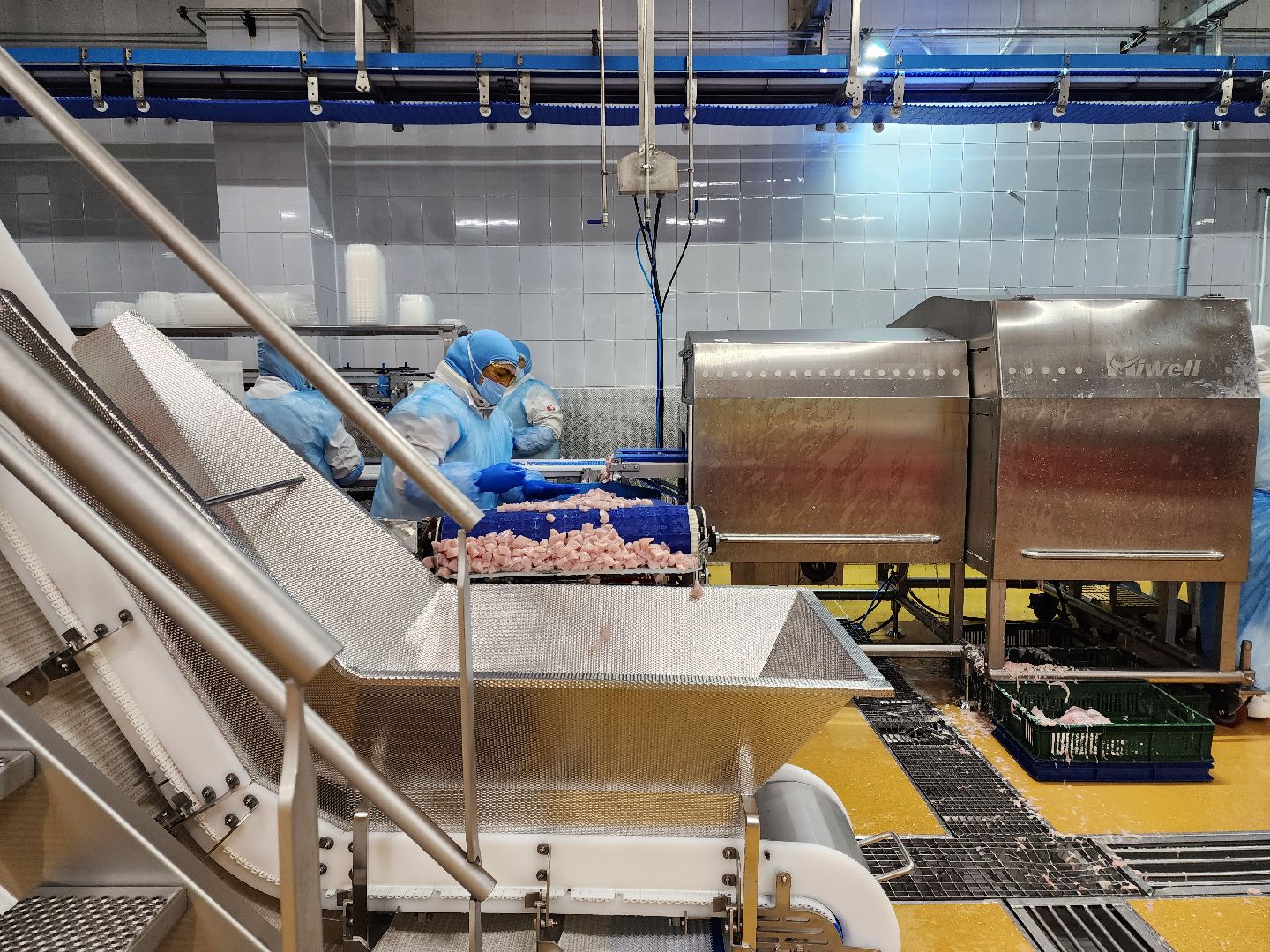 раменское, экономика, предприятие по производству куриной продукции в константиново,