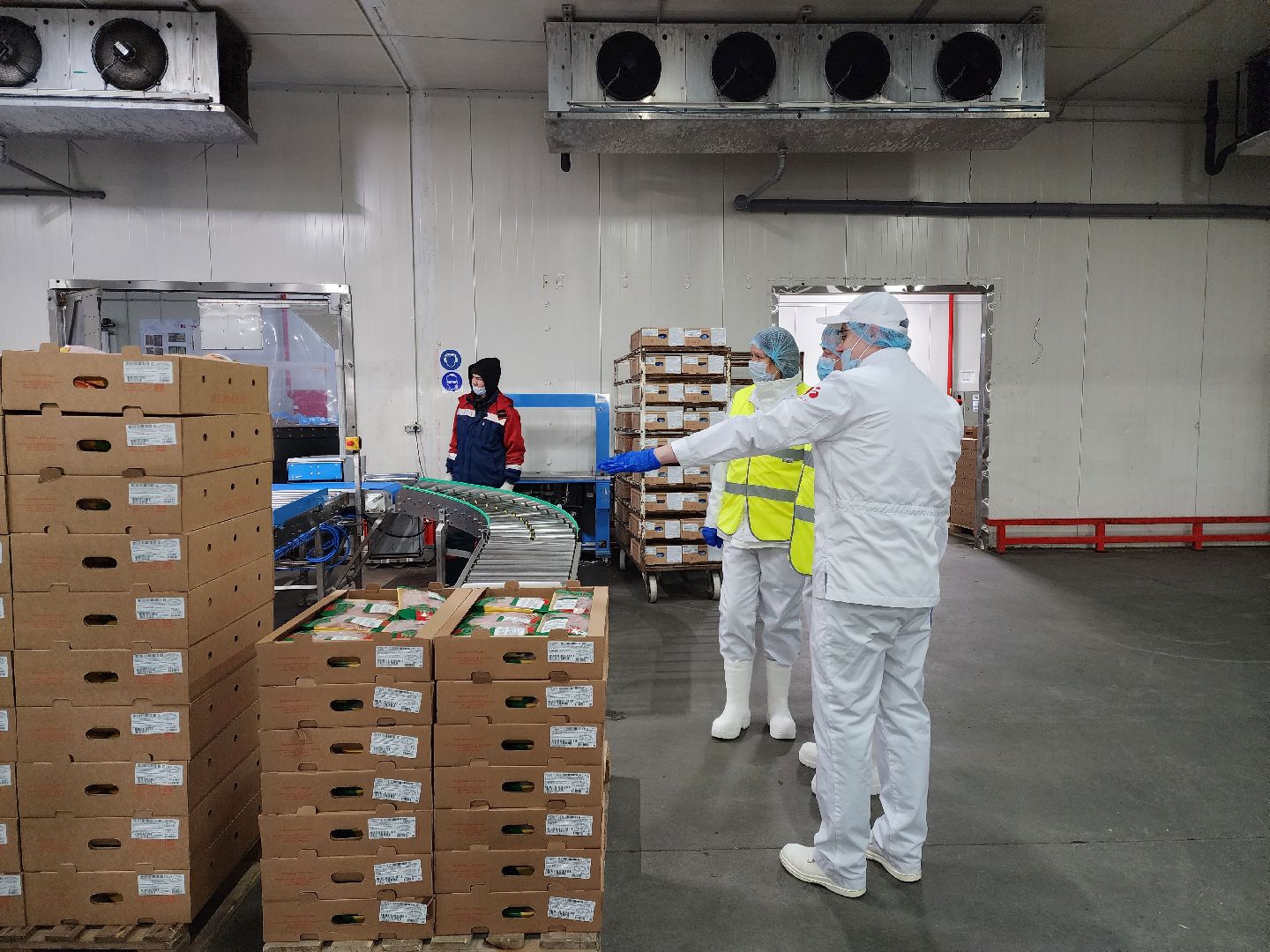 раменское, экономика, предприятие по производству куриной продукции в константиново,