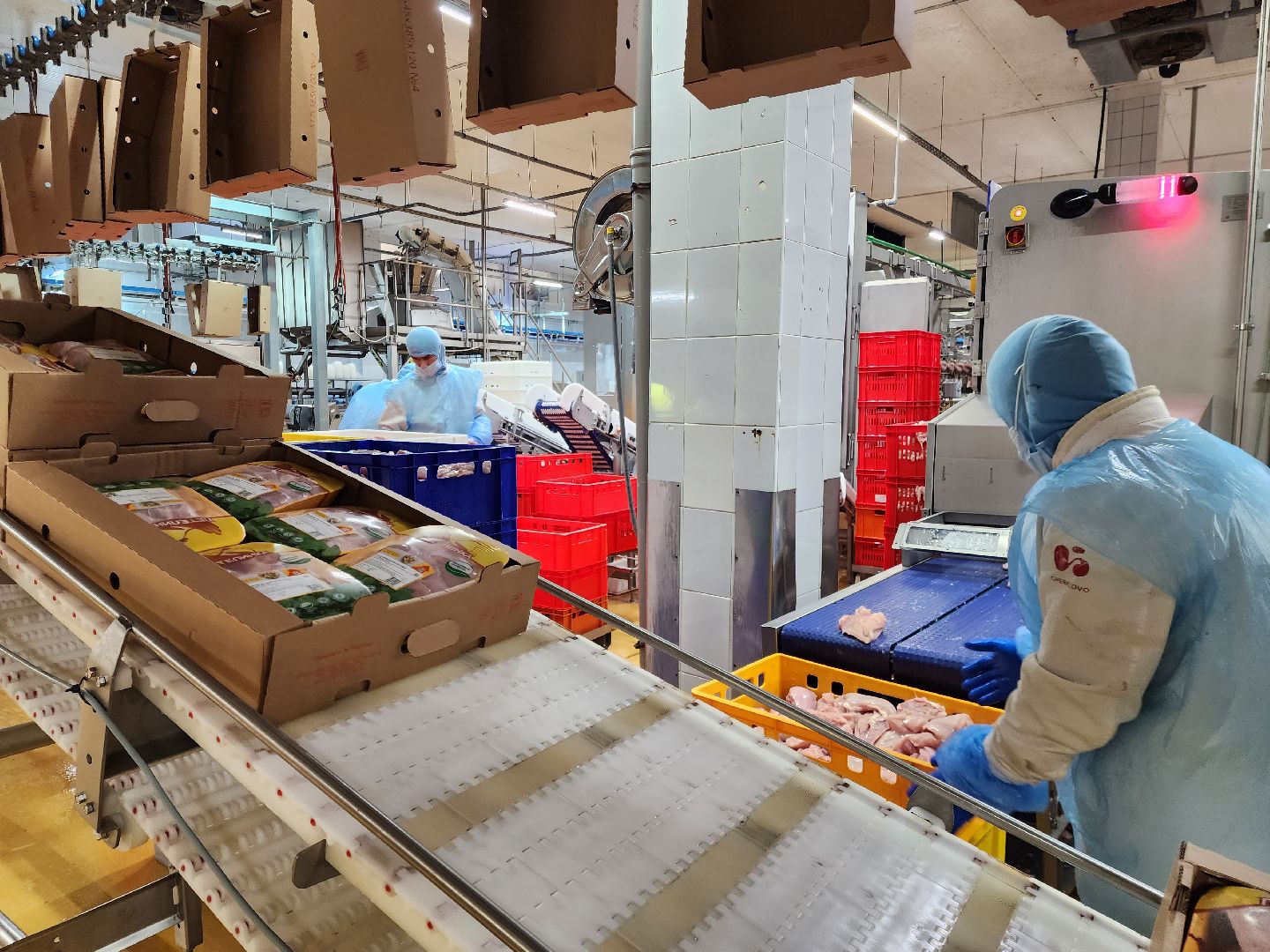 раменское, экономика, предприятие по производству куриной продукции в константиново,