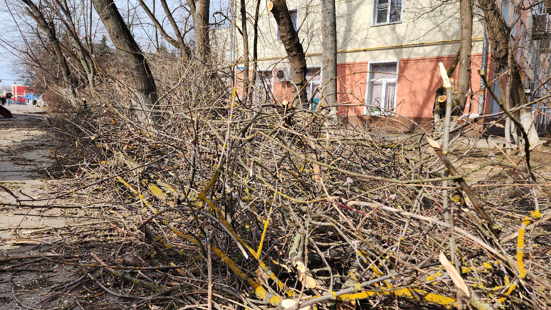 жкх, домодедово, подмосковье, весенняя уборка, благоустройство, субботник,