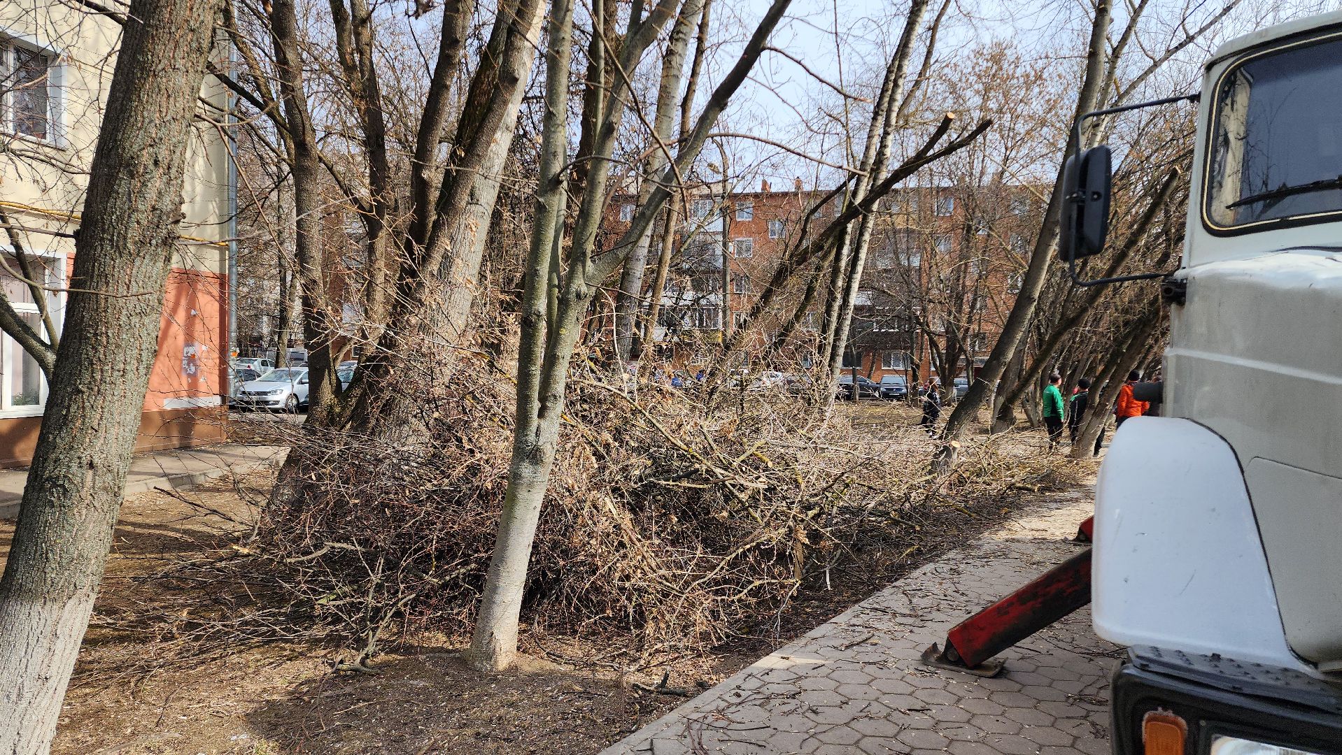 жкх, домодедово, подмосковье, весенняя уборка, благоустройство, субботник,