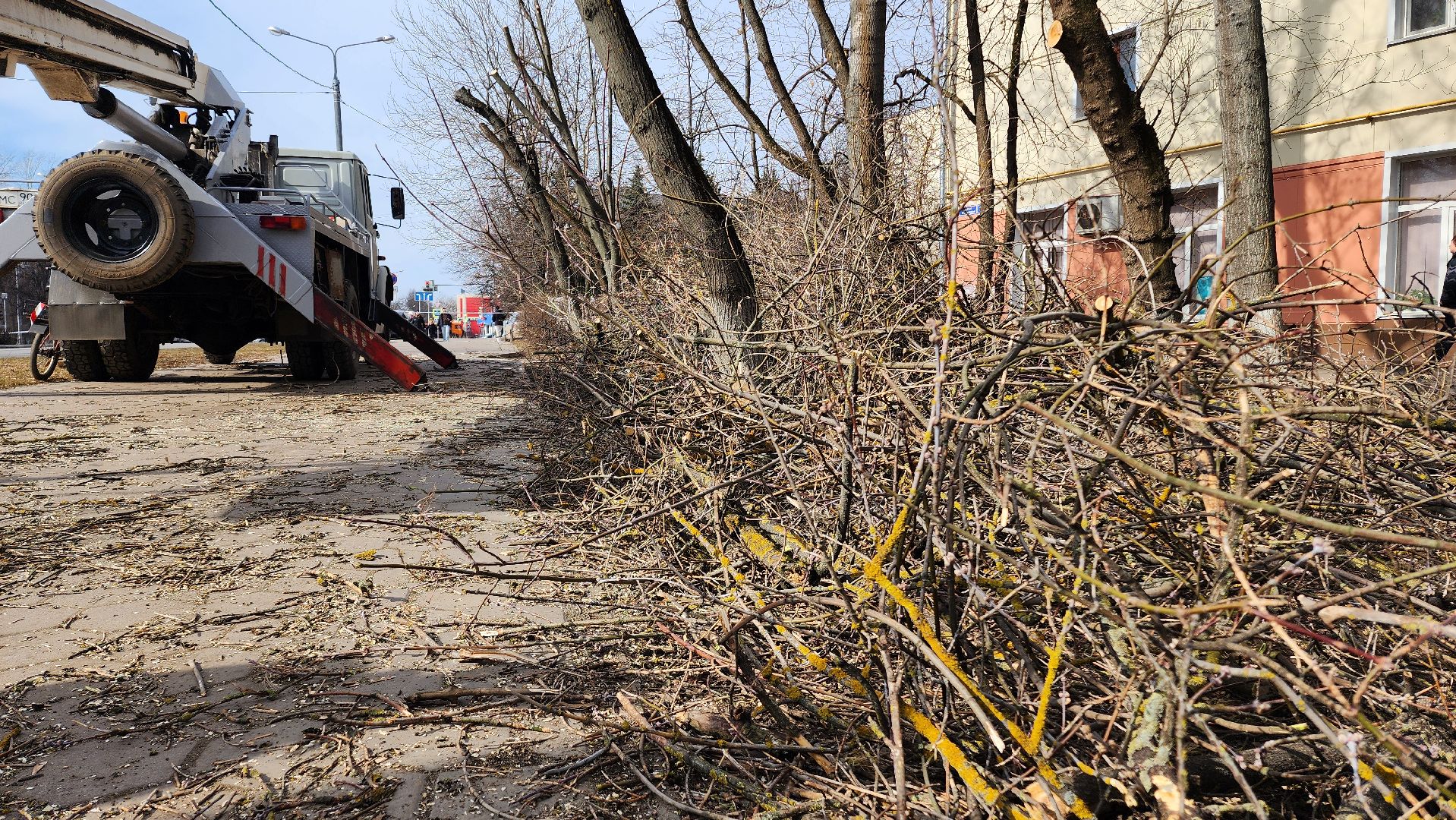 жкх, домодедово, подмосковье, весенняя уборка, благоустройство, субботник,