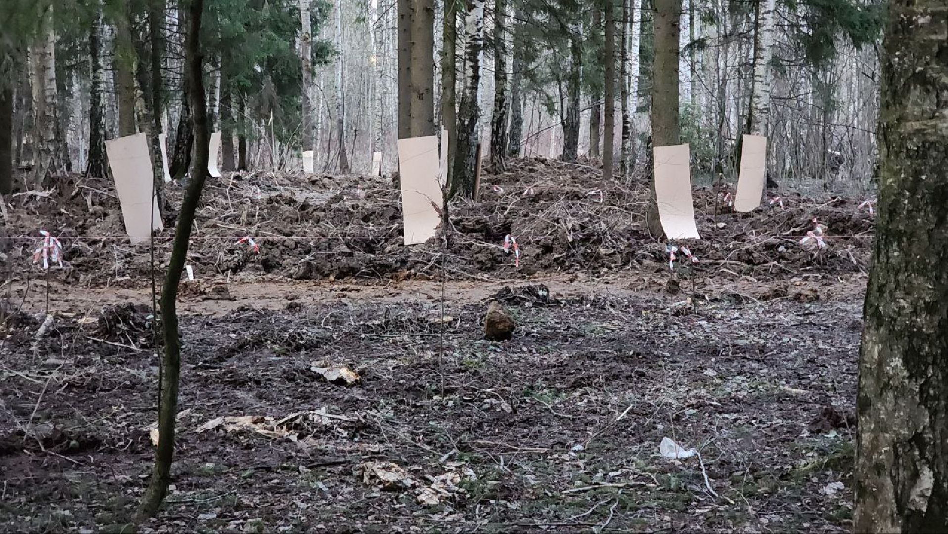 Дмитров, Некрасовский сквер, Минблаго,