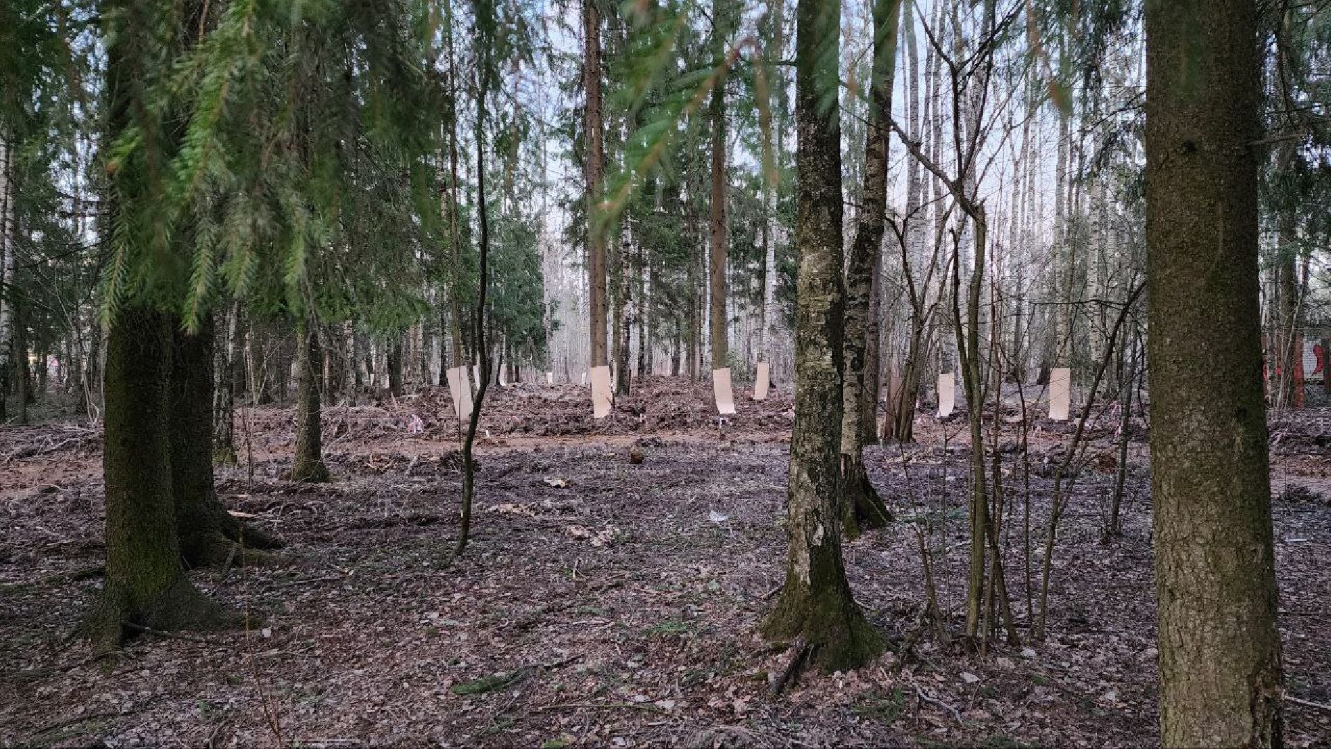 Дмитров, Некрасовский сквер, Минблаго,