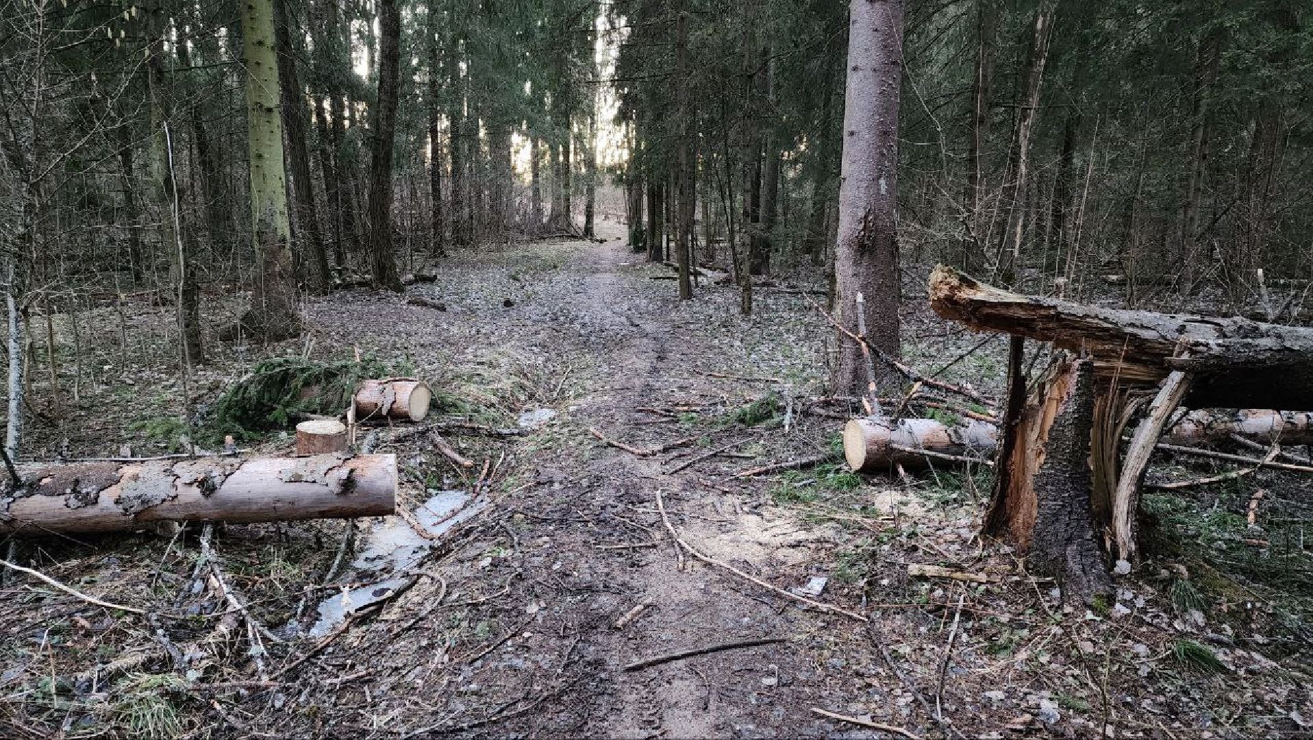 Дмитров, Некрасовский сквер, Минблаго,