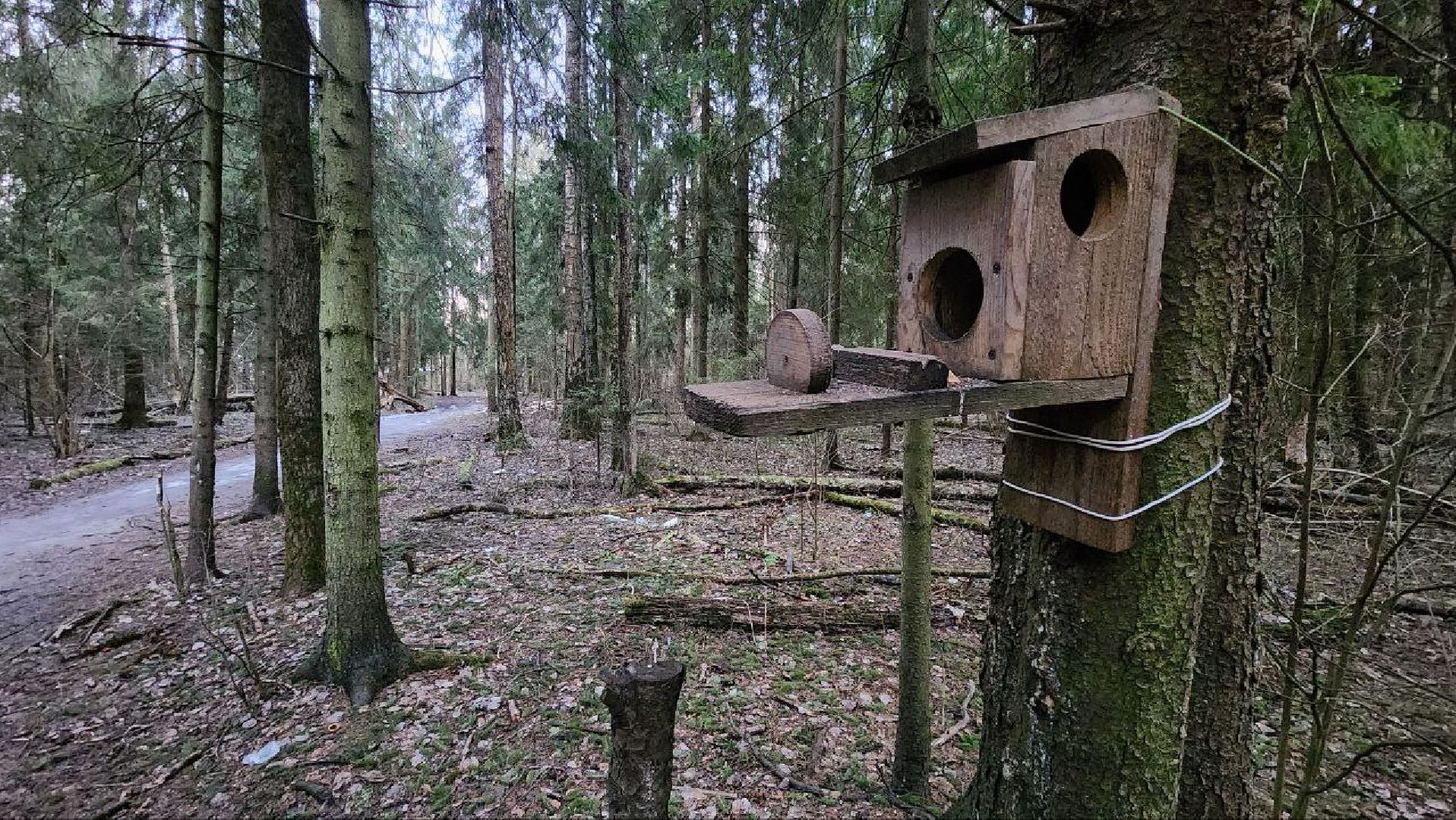 Дмитров, Некрасовский сквер, Минблаго,