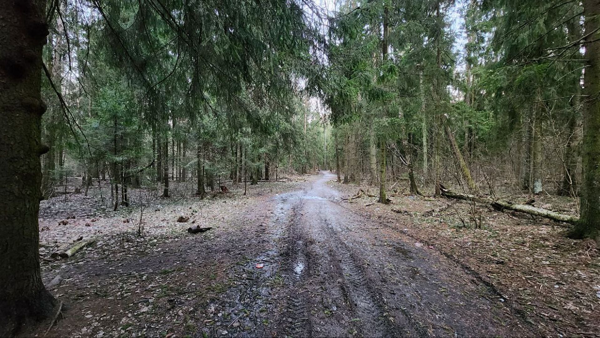 Дмитров, Некрасовский сквер, Минблаго,