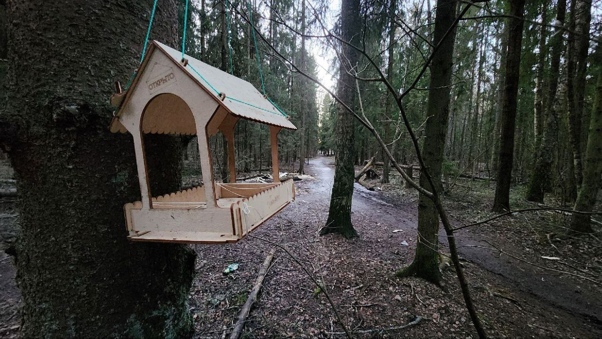 Дмитров, Некрасовский сквер, Минблаго,