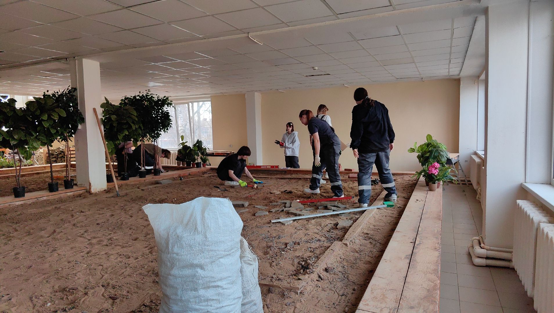 ландшафтный дизайн, специальность, мастерская, колледж,проект,