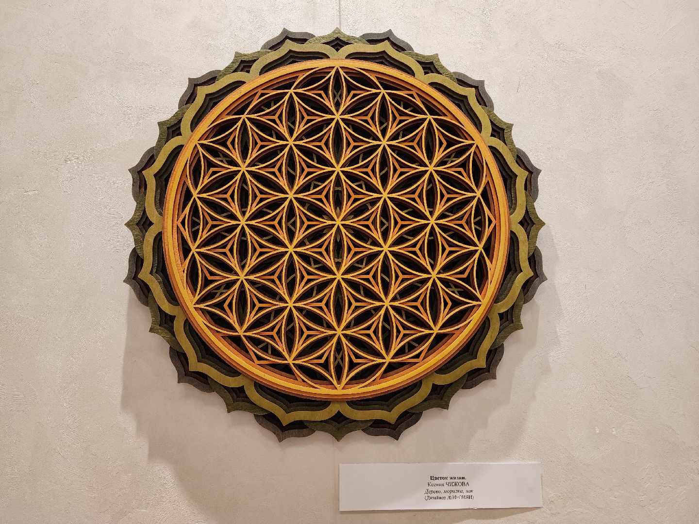 дубна, дк мир, дом культуры, оияи, выставка,