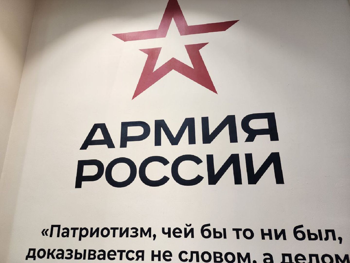 солнечногорск, центр поддержки сво, подарок, попугай, бойцы,